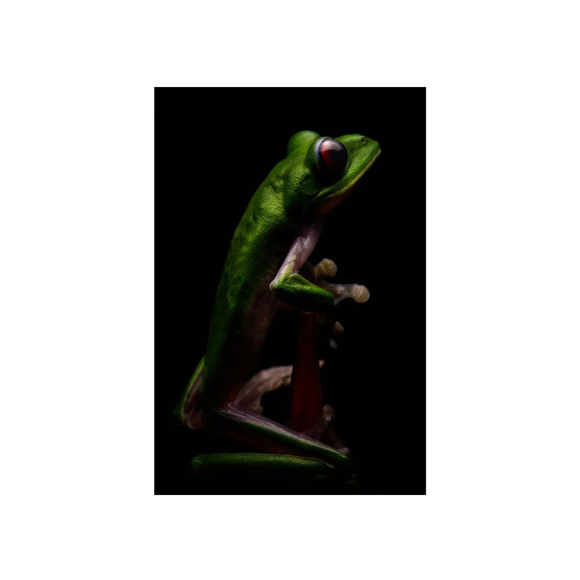 One With Darkness by John Wiseman, a signed limited-edition fine art photography print from IRID Gallery