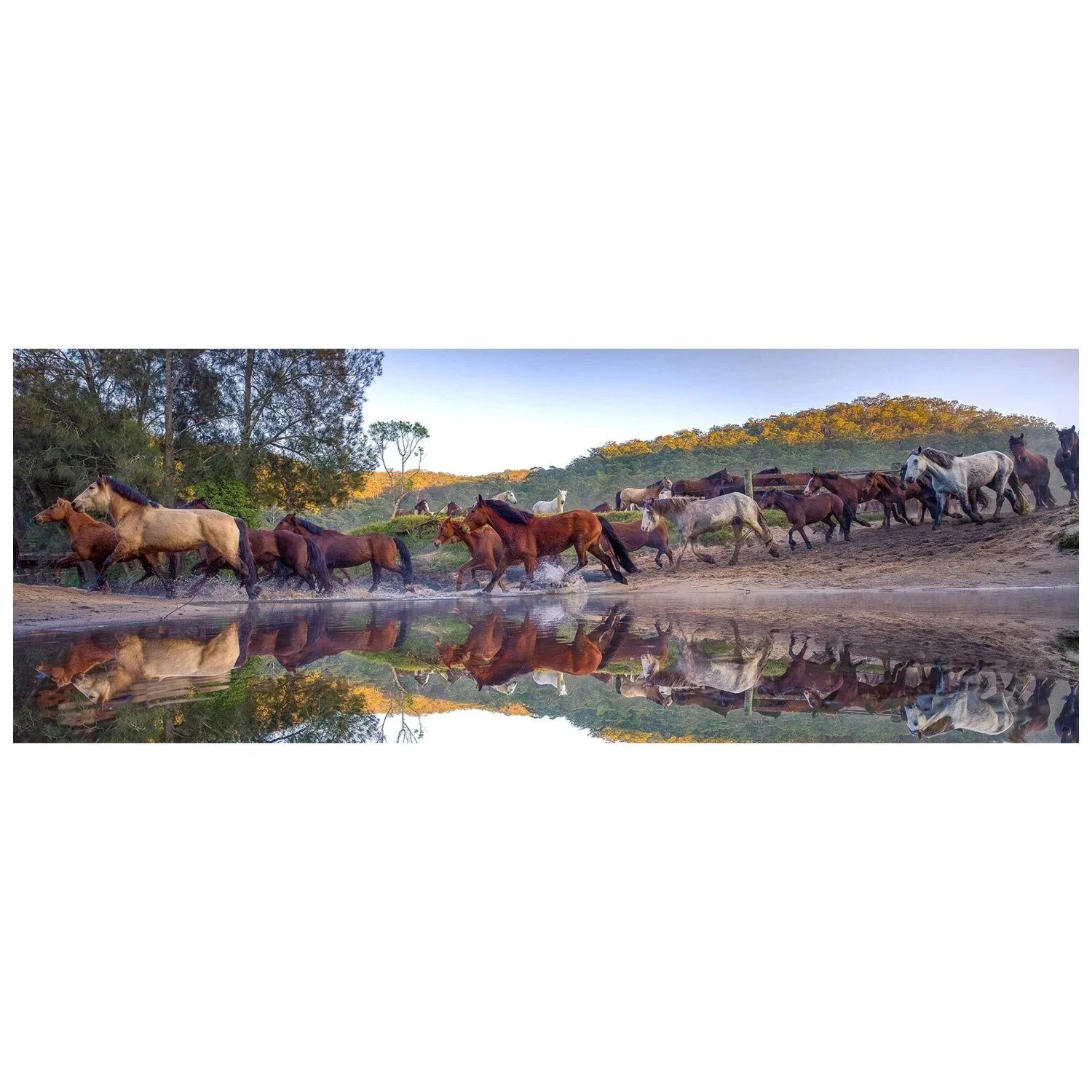 Rush Of The Herd by Dani Watson shown in a framed frame, a signed limited-edition fine art photography print from IRID Gallery