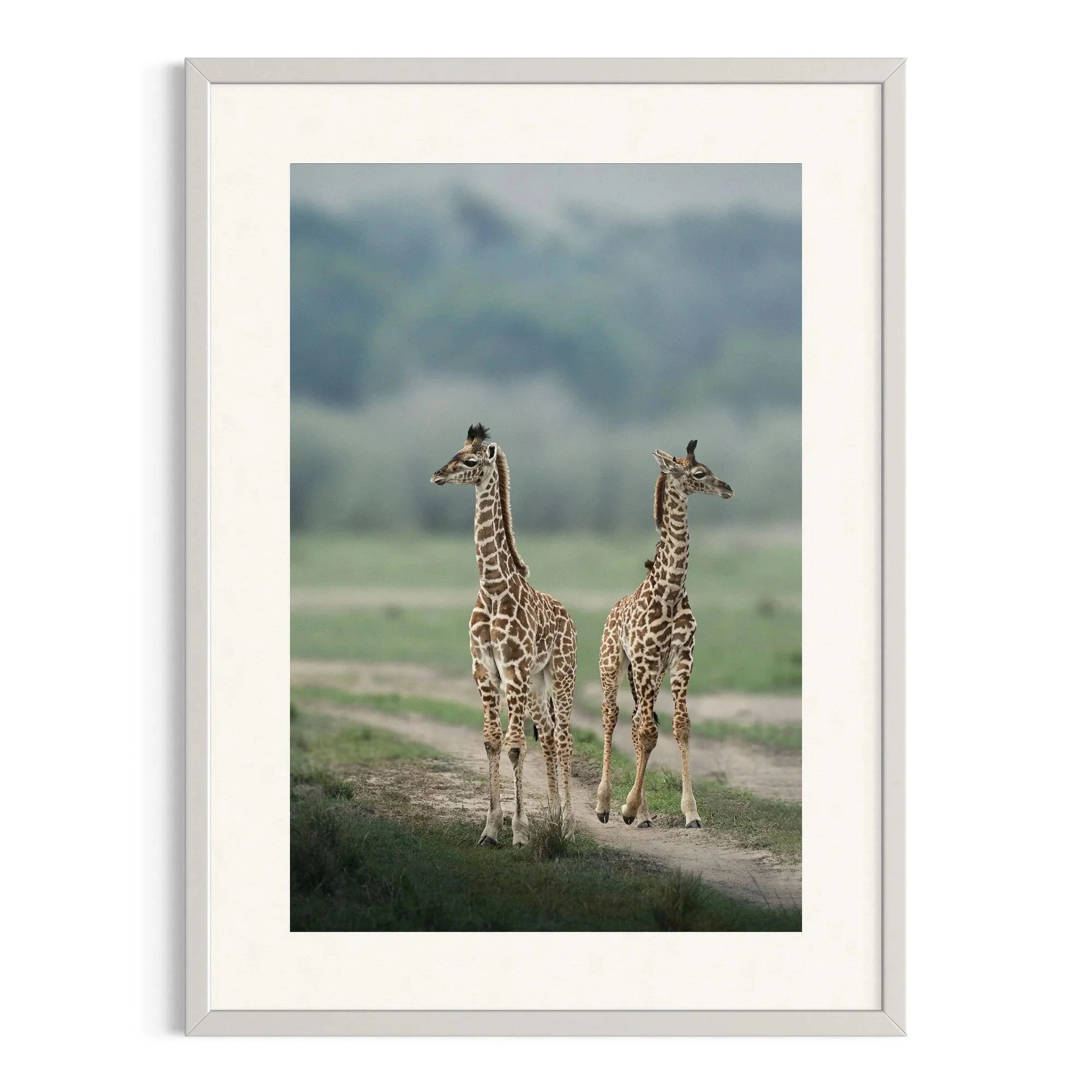 Side by Side by John Wiseman shown in a white frame, a signed limited-edition fine art photography print from IRID Gallery