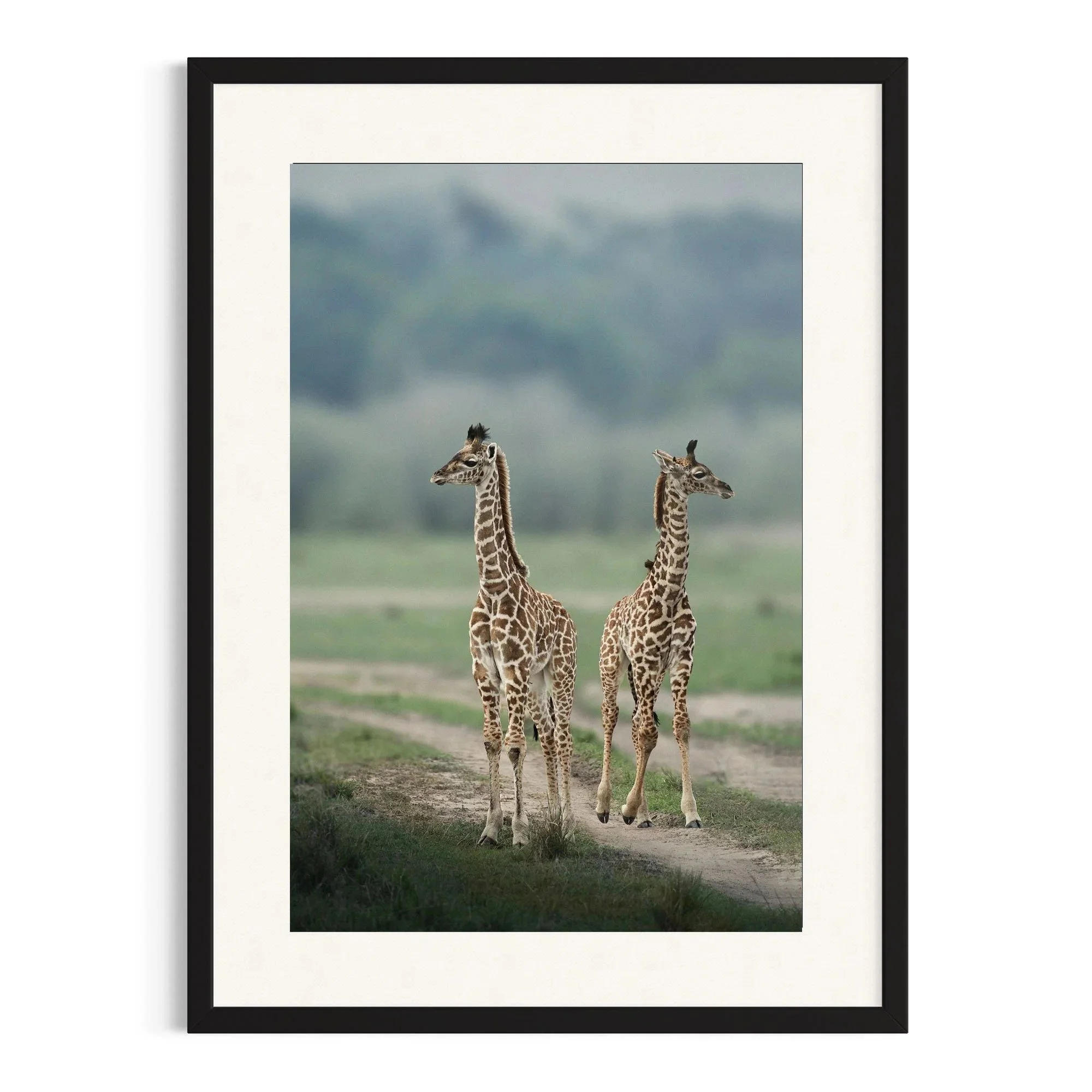 Side by Side by John Wiseman shown in a black frame, a signed limited-edition fine art photography print from IRID Gallery