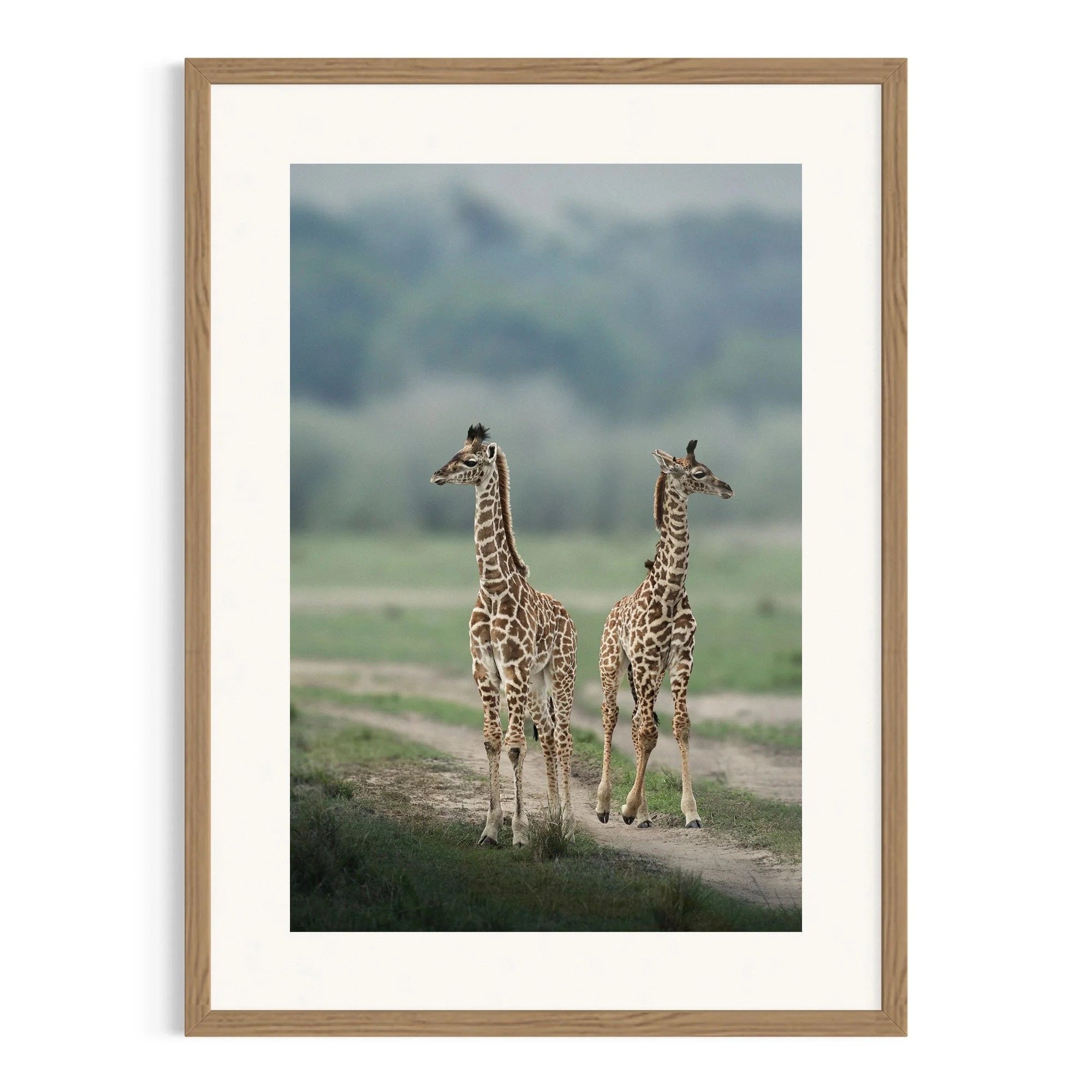 Side by Side by John Wiseman shown in a framed frame, a signed limited-edition fine art photography print from IRID Gallery