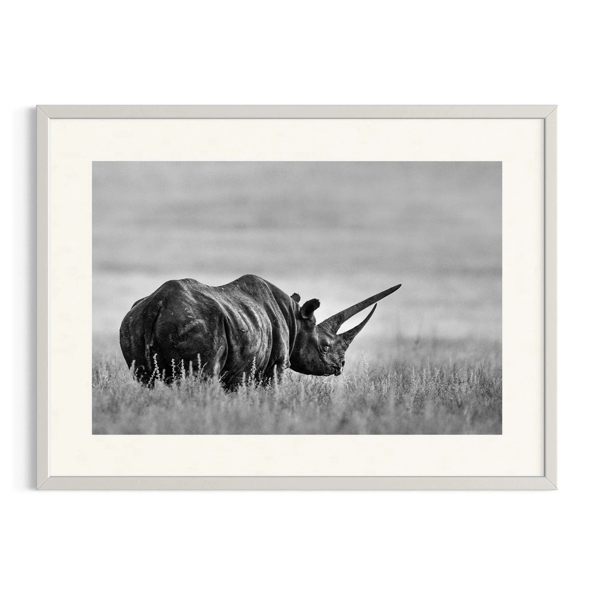 Sonia's Legacy by John Wiseman shown in a white frame, a signed limited-edition fine art photography print from IRID Gallery