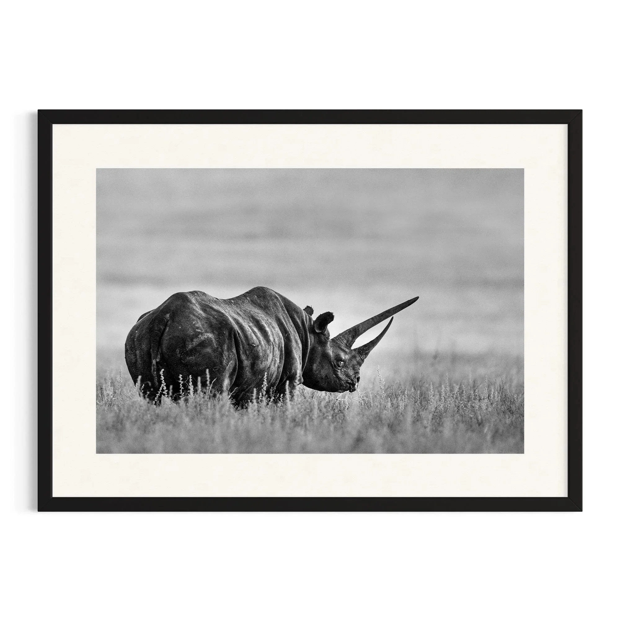 Sonia's Legacy by John Wiseman shown in a black frame, a signed limited-edition fine art photography print from IRID Gallery