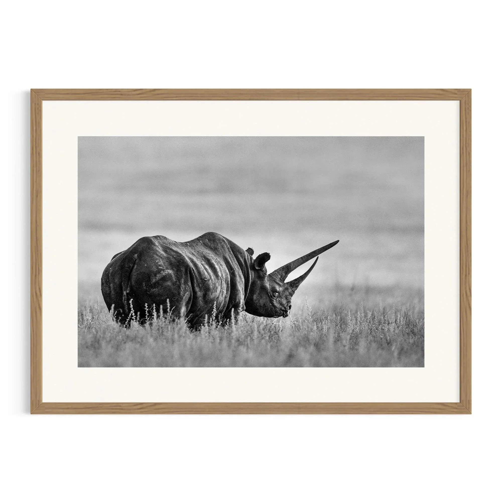 Sonia's Legacy by John Wiseman shown in a raw oak frame, a signed limited-edition fine art photography print from IRID Gallery