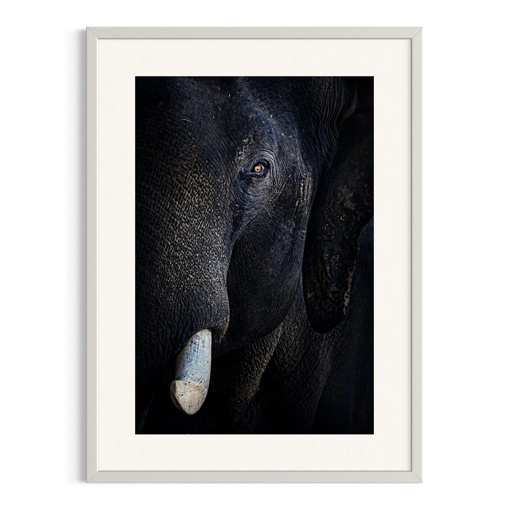The Watchful Giant by John Wiseman shown in a white frame, a signed limited-edition fine art photography print from IRID Gallery