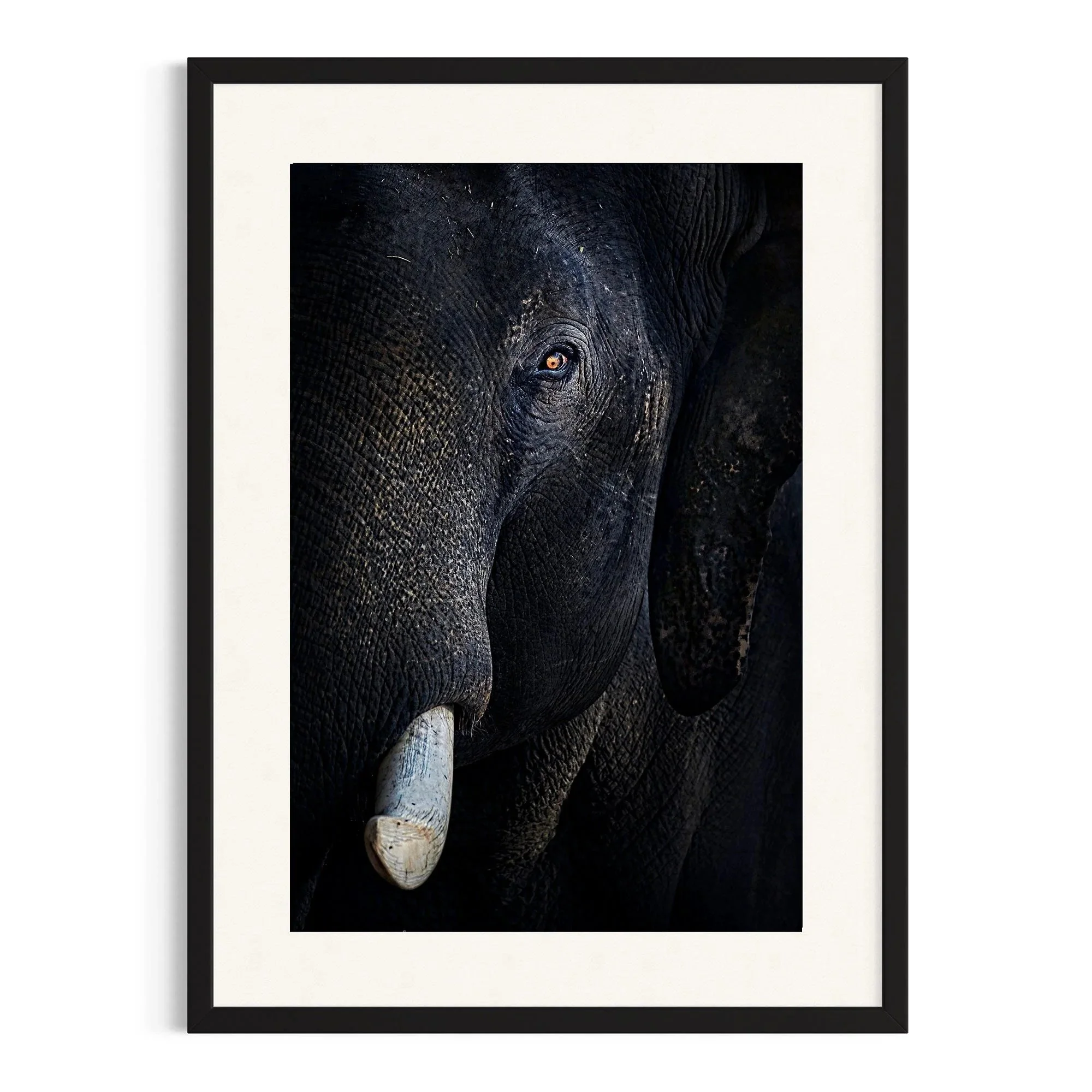 The Watchful Giant by John Wiseman shown in a black frame, a signed limited-edition fine art photography print from IRID Gallery