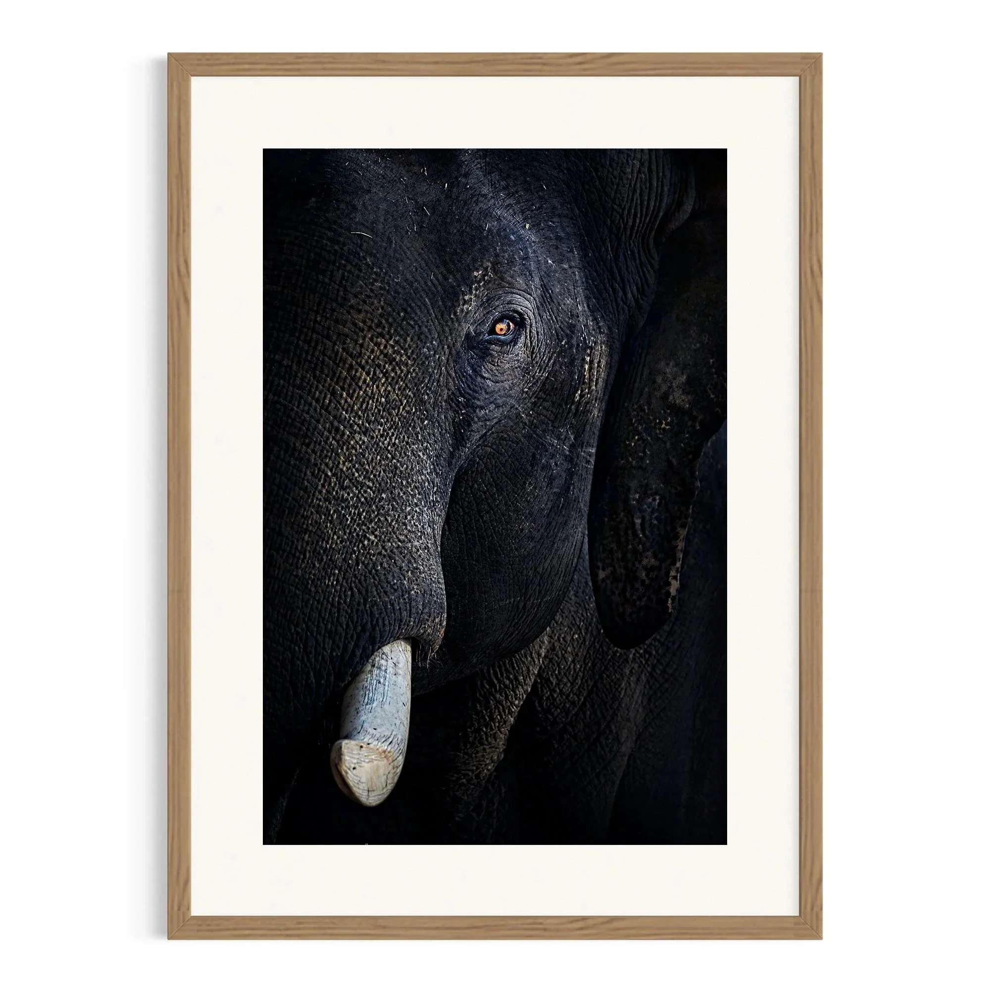 The Watchful Giant by John Wiseman shown in a raw oak frame, a signed limited-edition fine art photography print from IRID Gallery