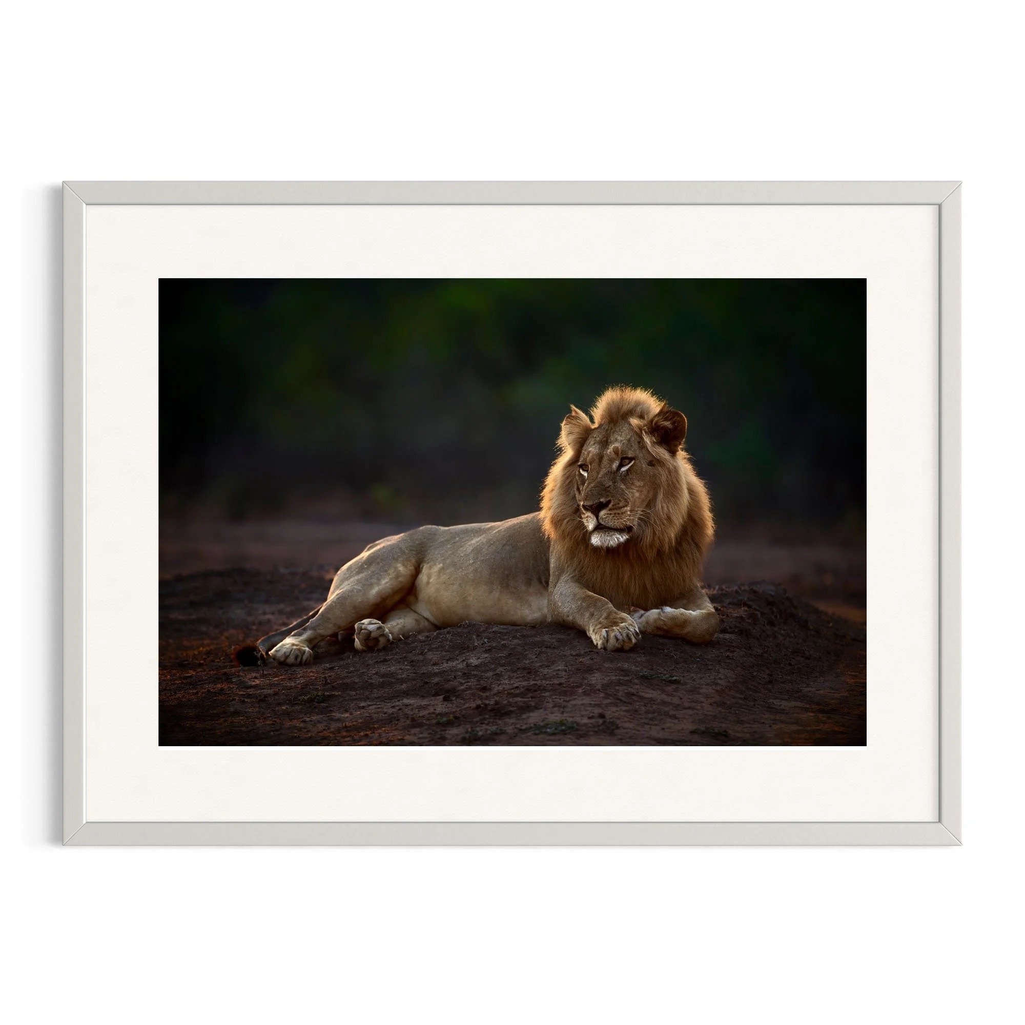 Untamed Calm by John Wiseman shown in a white frame, a signed limited-edition fine art photography print from IRID Gallery