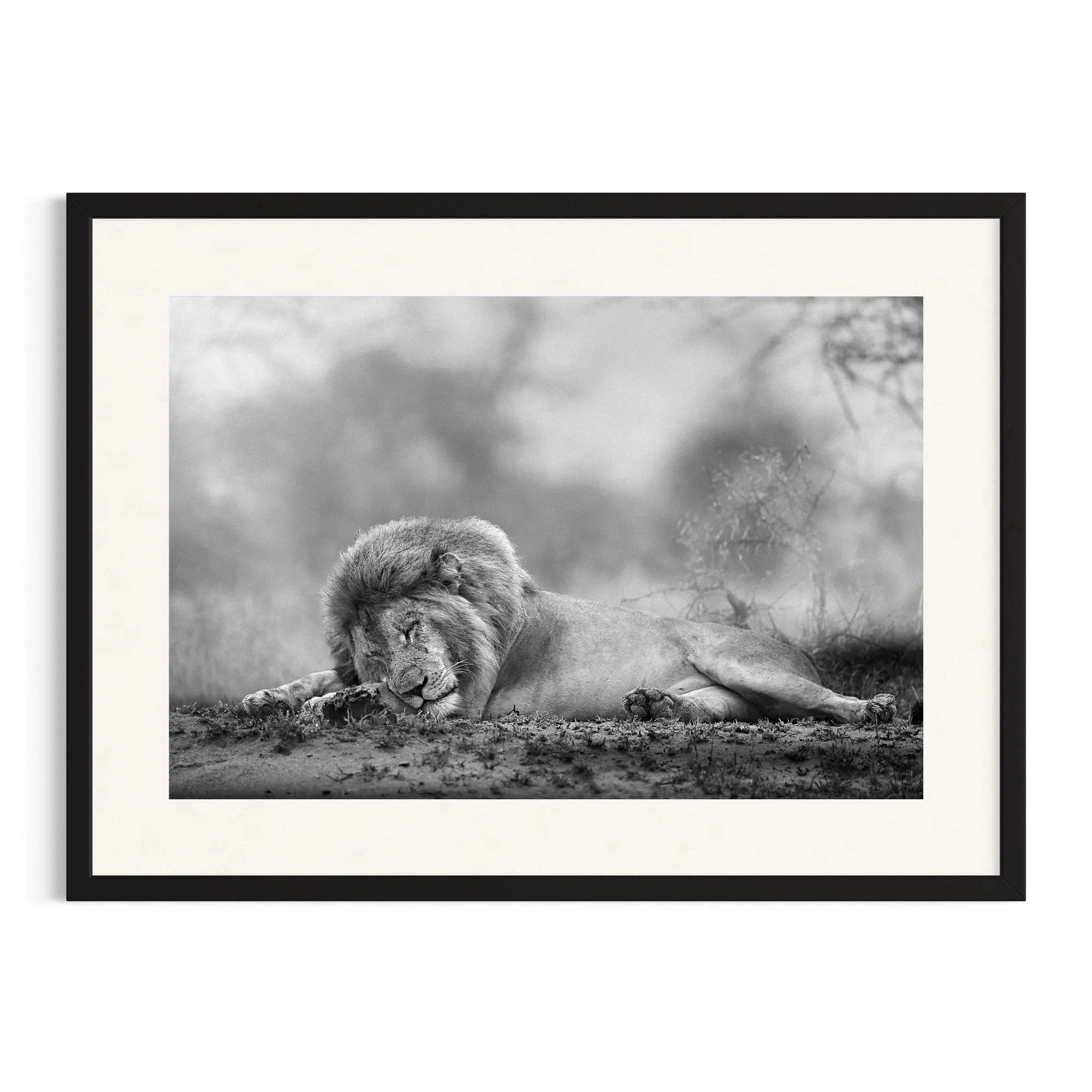 Wimoweh by John Wiseman shown in a black frame, a signed limited-edition fine art photography print from IRID Gallery