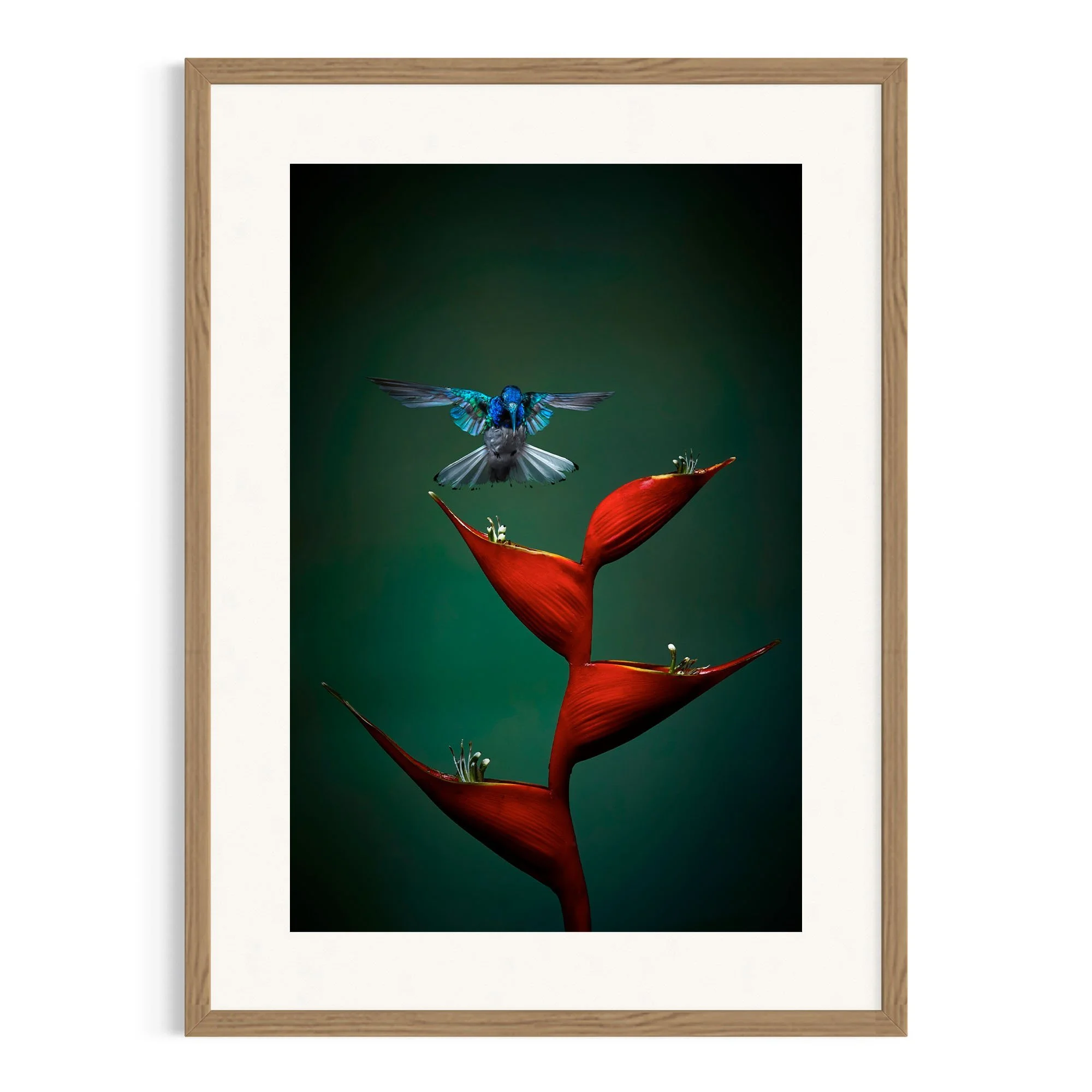 Flight Perfection by John Wiseman shown in a raw oak frame, a signed limited-edition fine art photography print from IRID Gallery