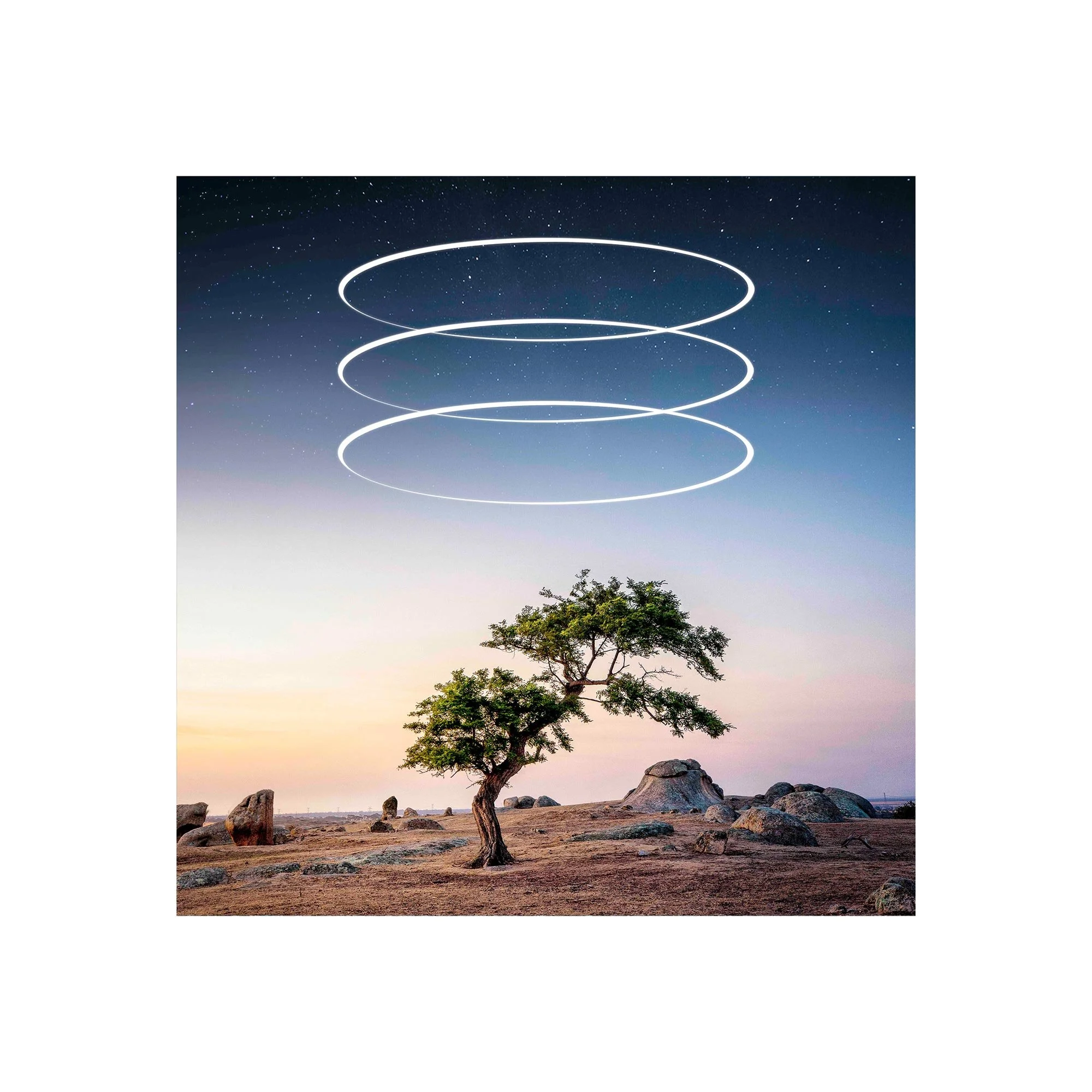 Strength, an aerial abstract fine art photograph by Dani Watson