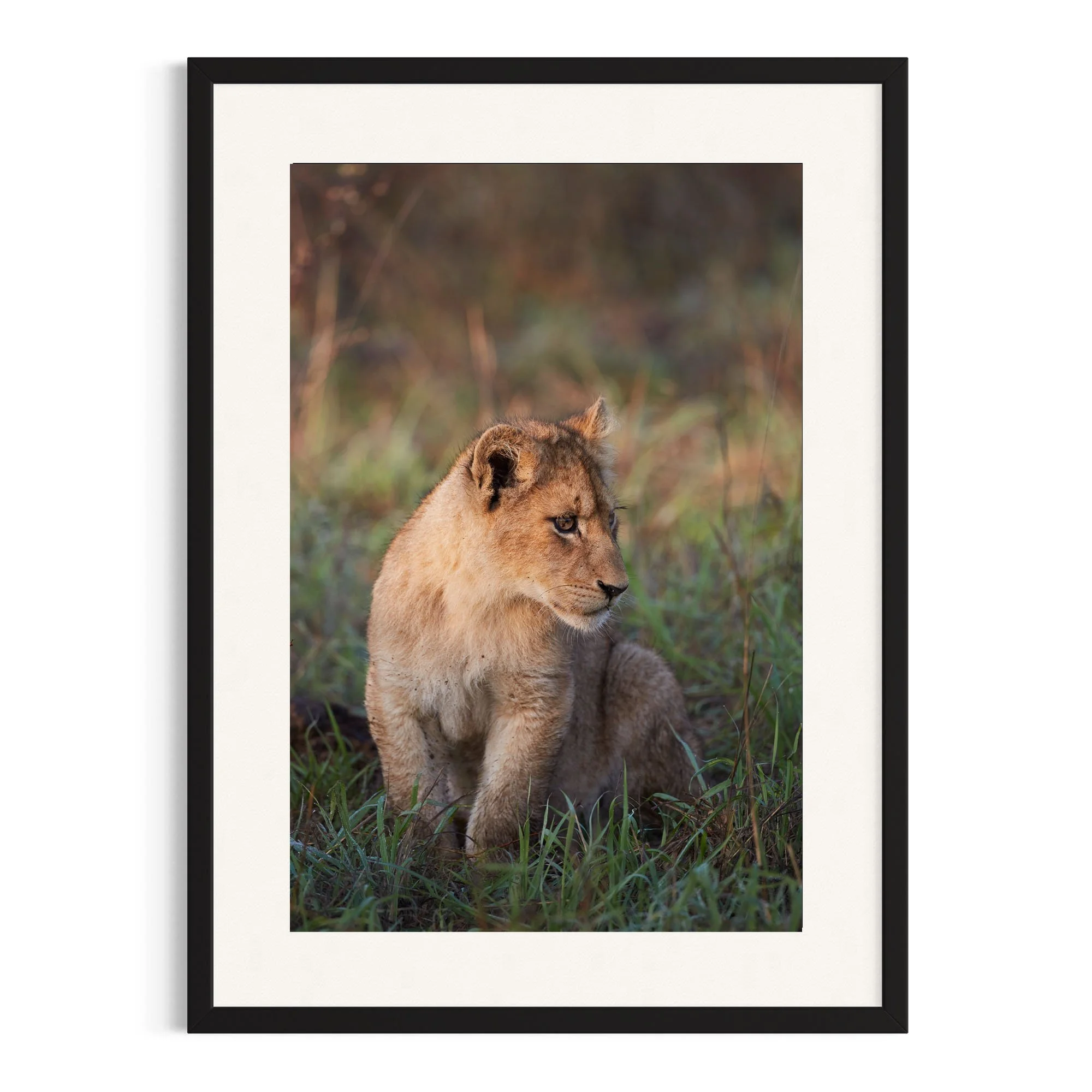 Little Guardian by John Wiseman shown in a black frame, a signed limited-edition fine art photography print from IRID Gallery