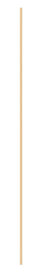 A long wooden stick or rod standing vertically against a black background.