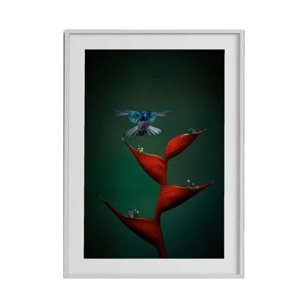 Flight Perfection by John Wiseman shown as a framed fine art print