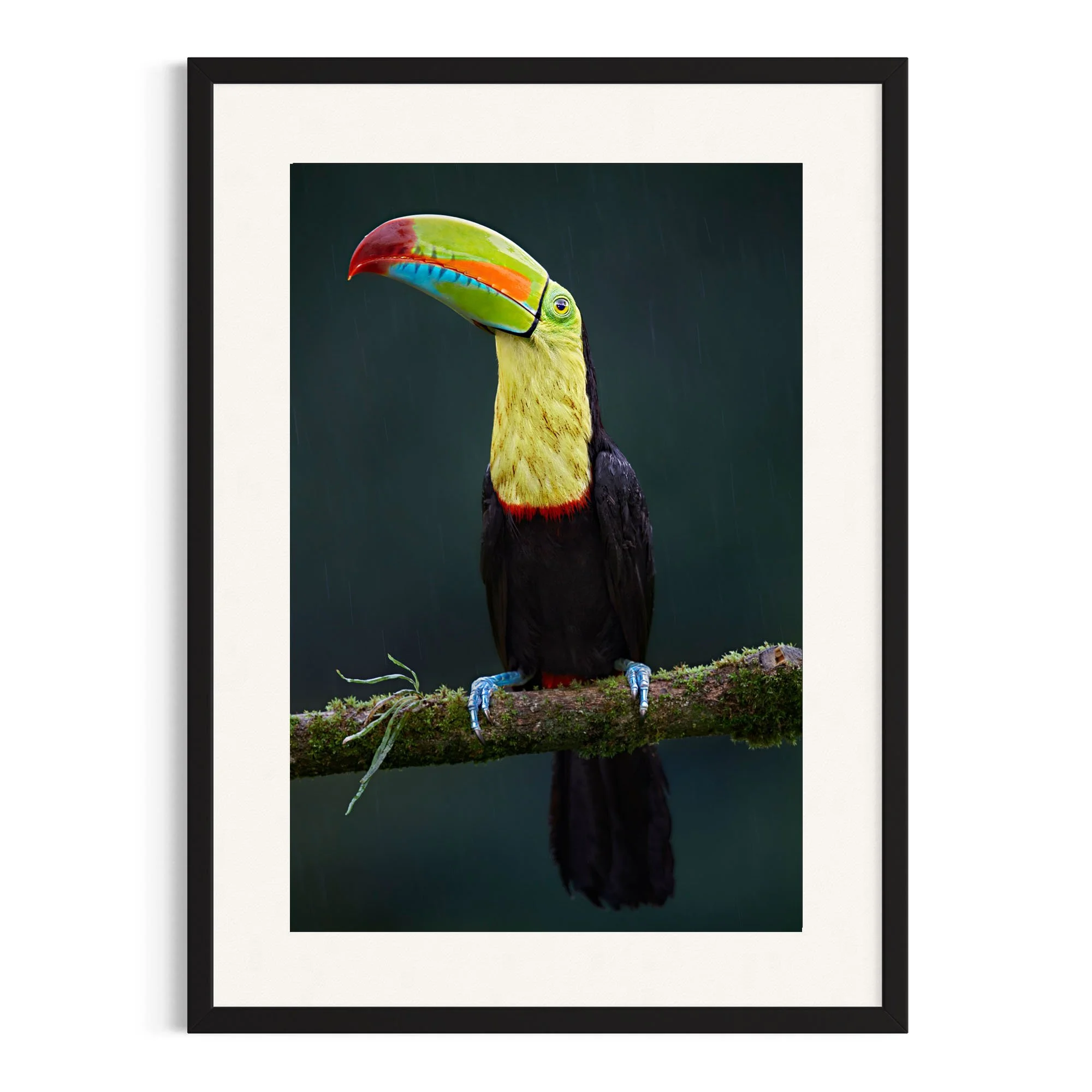 Silent Watch by John Wiseman shown in a black frame, a signed limited-edition fine art photography print from IRID Gallery