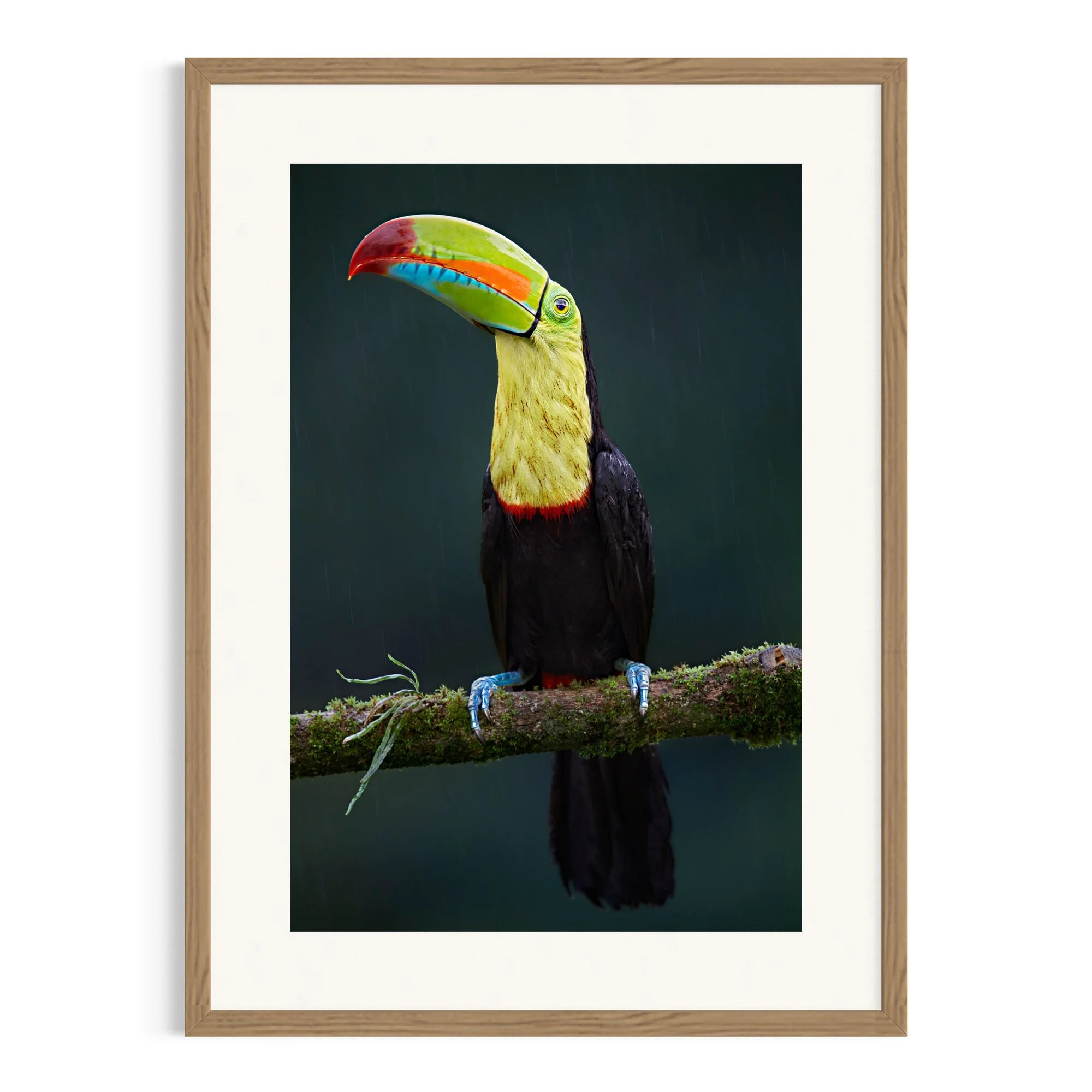 Silent Watch by John Wiseman shown in a raw oak frame, a signed limited-edition fine art photography print from IRID Gallery