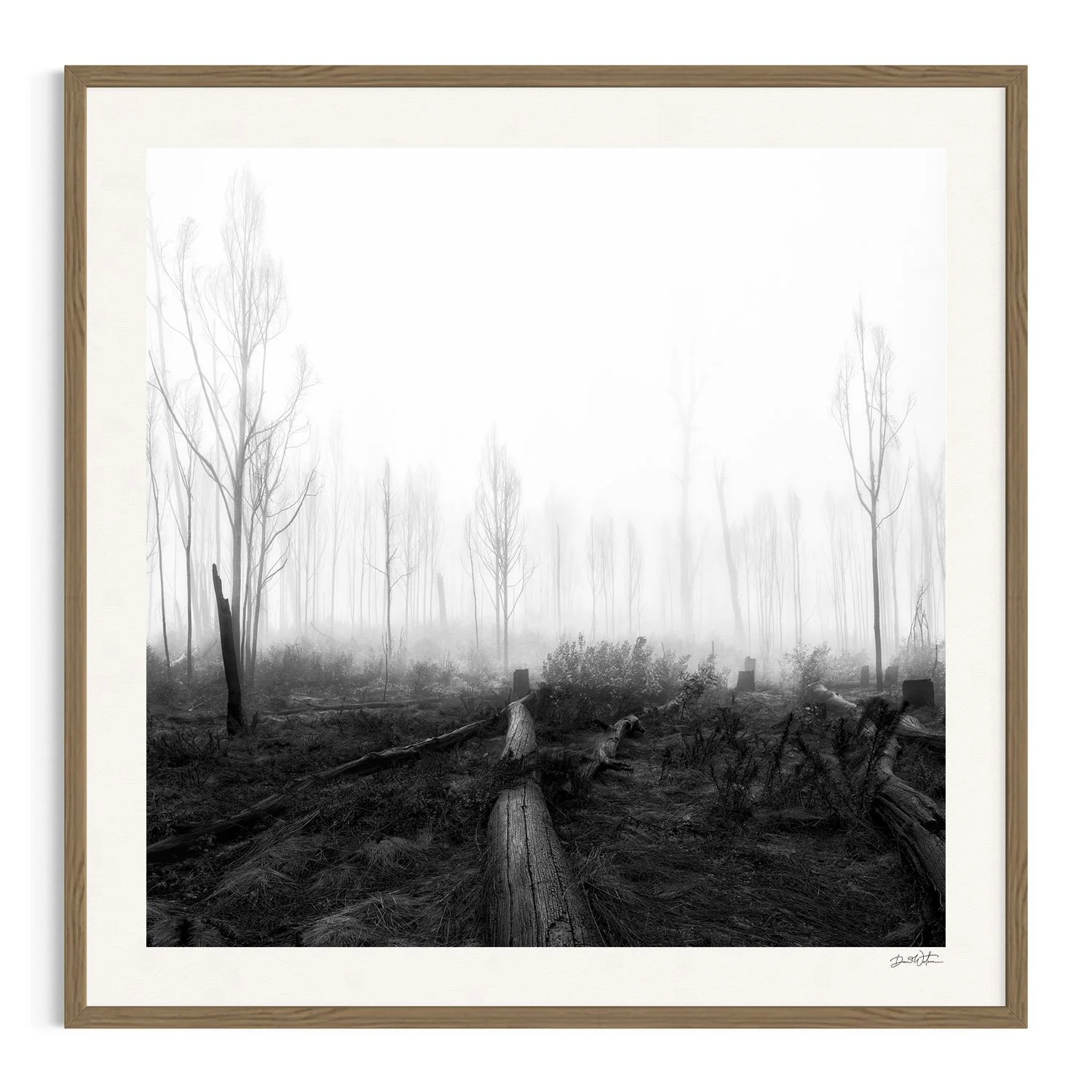 Forest of Ghosts by Dani Watson shown in a raw oak frame, a signed limited-edition fine art photography print from IRID Gallery