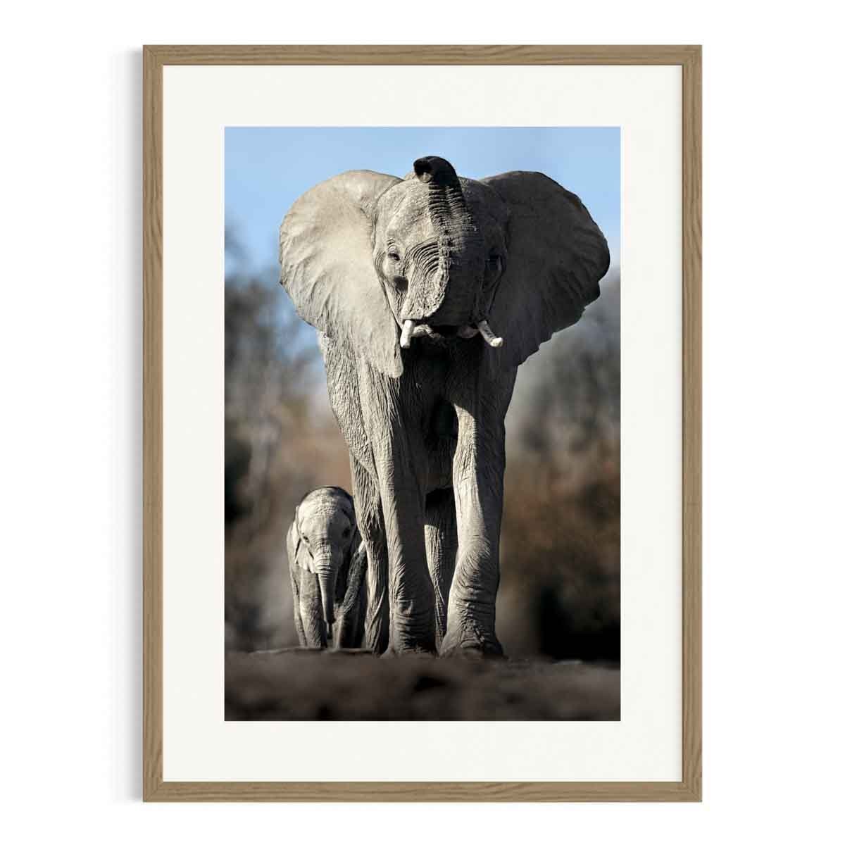Mother and Son by John Wiseman shown in a oak frame, a signed limited-edition fine art photography print from IRID Gallery