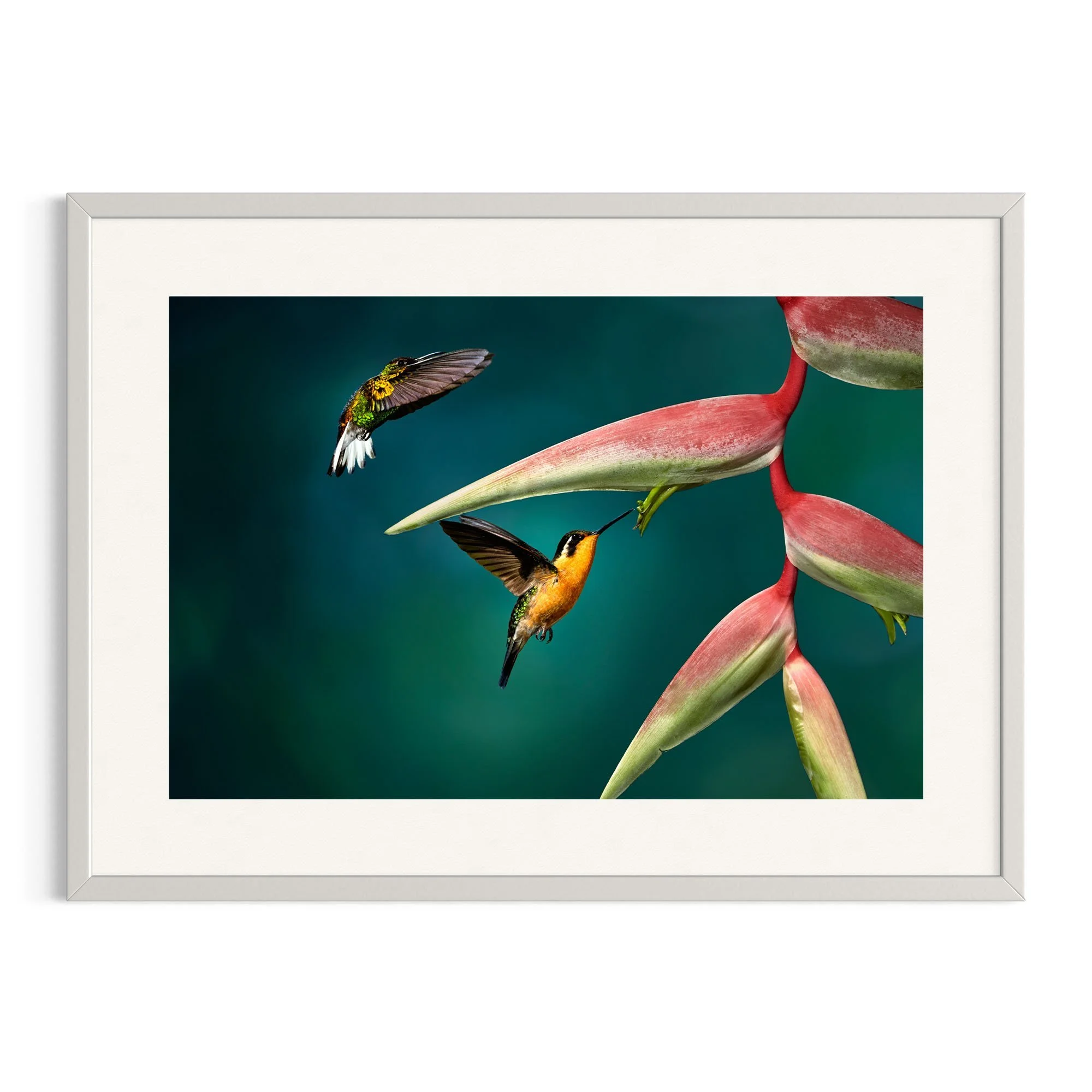 Double Trouble by John Wiseman shown in a white frame, a signed limited-edition fine art photography print from IRID Gallery
