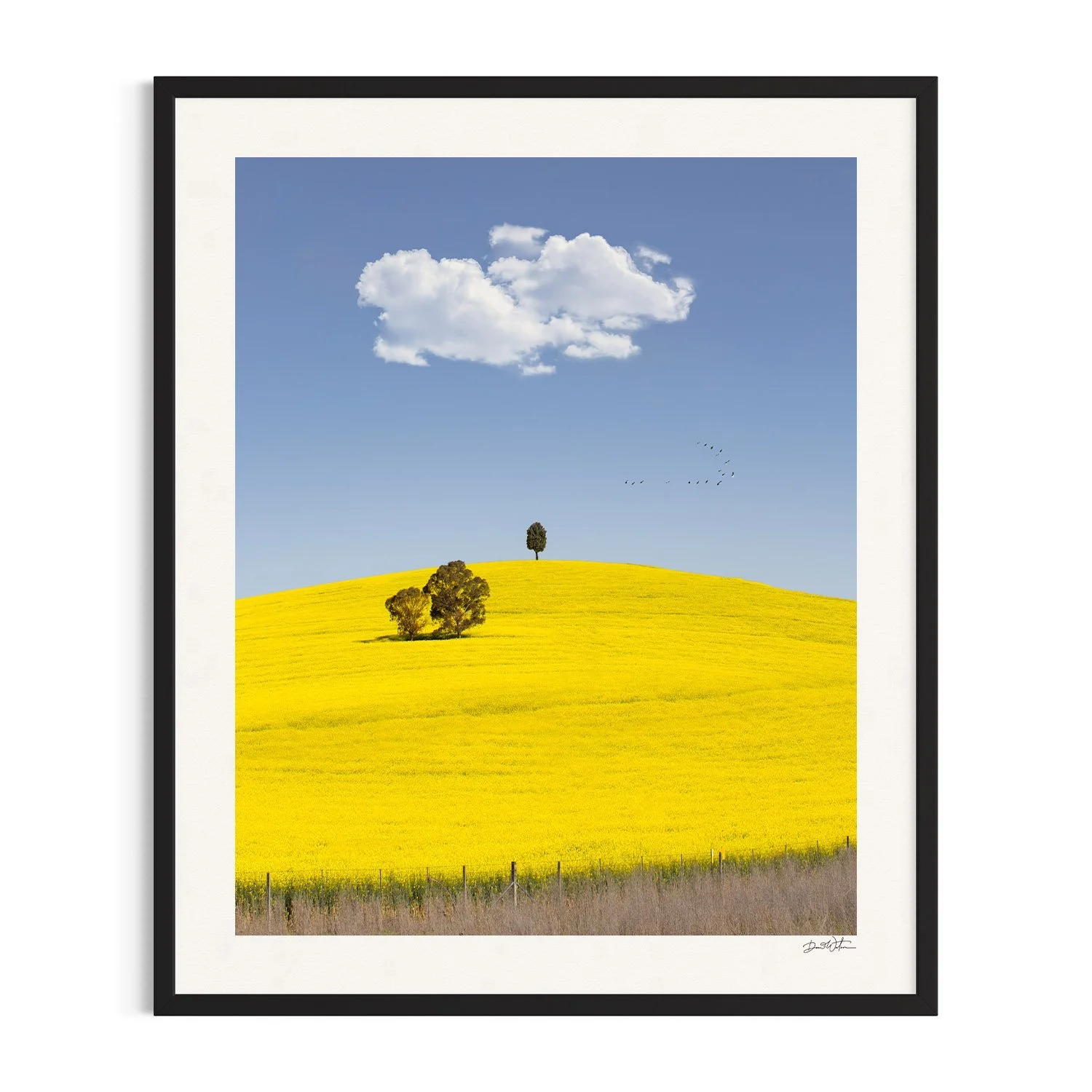 The Road To Gundagai by Dani Watson shown in a black frame, a signed limited-edition fine art photography print from IRID Gallery