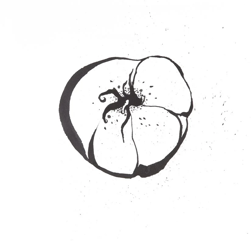 Little_G_tomato©Linden.jpg