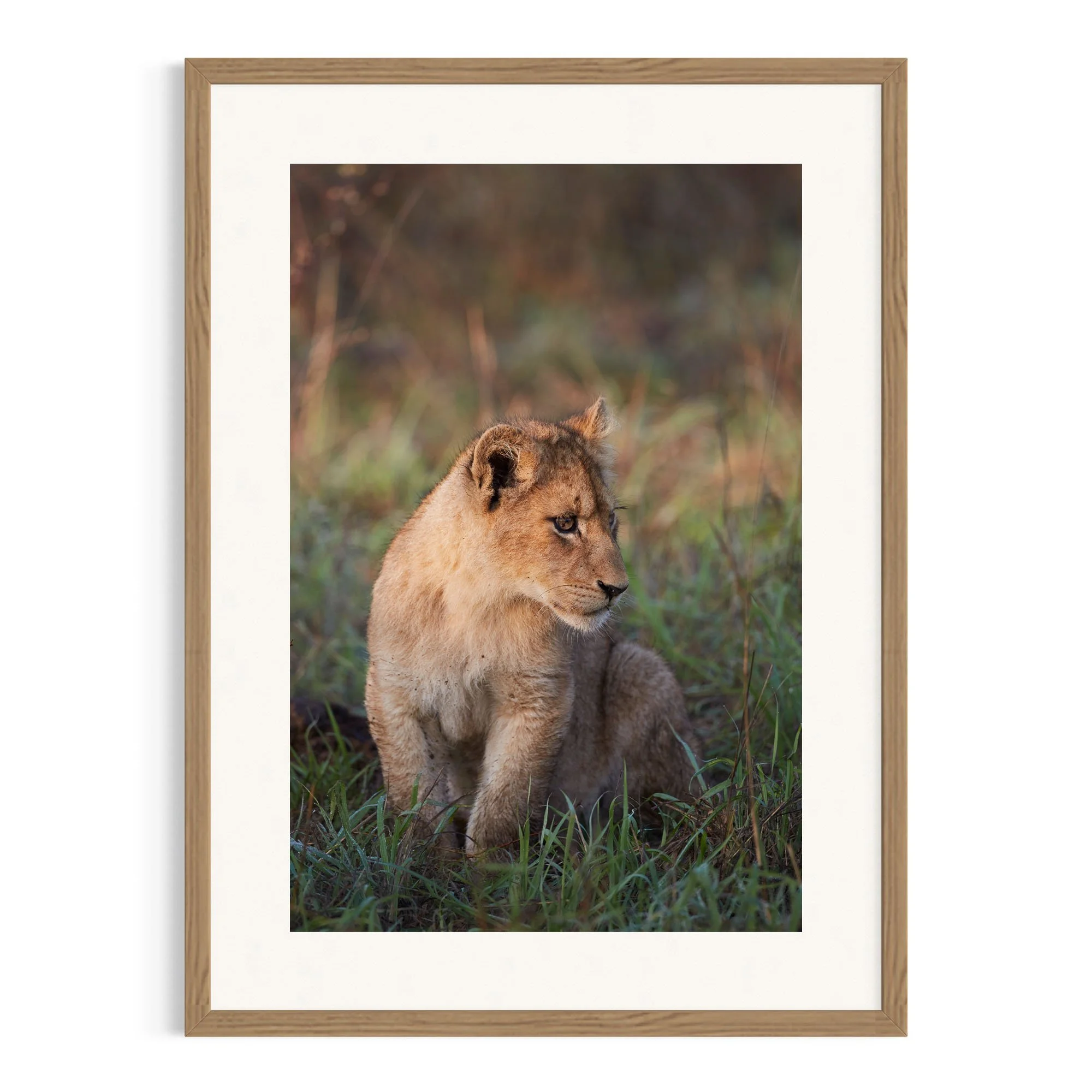 Little Guardian by John Wiseman shown in a raw oak frame, a signed limited-edition fine art photography print from IRID Gallery
