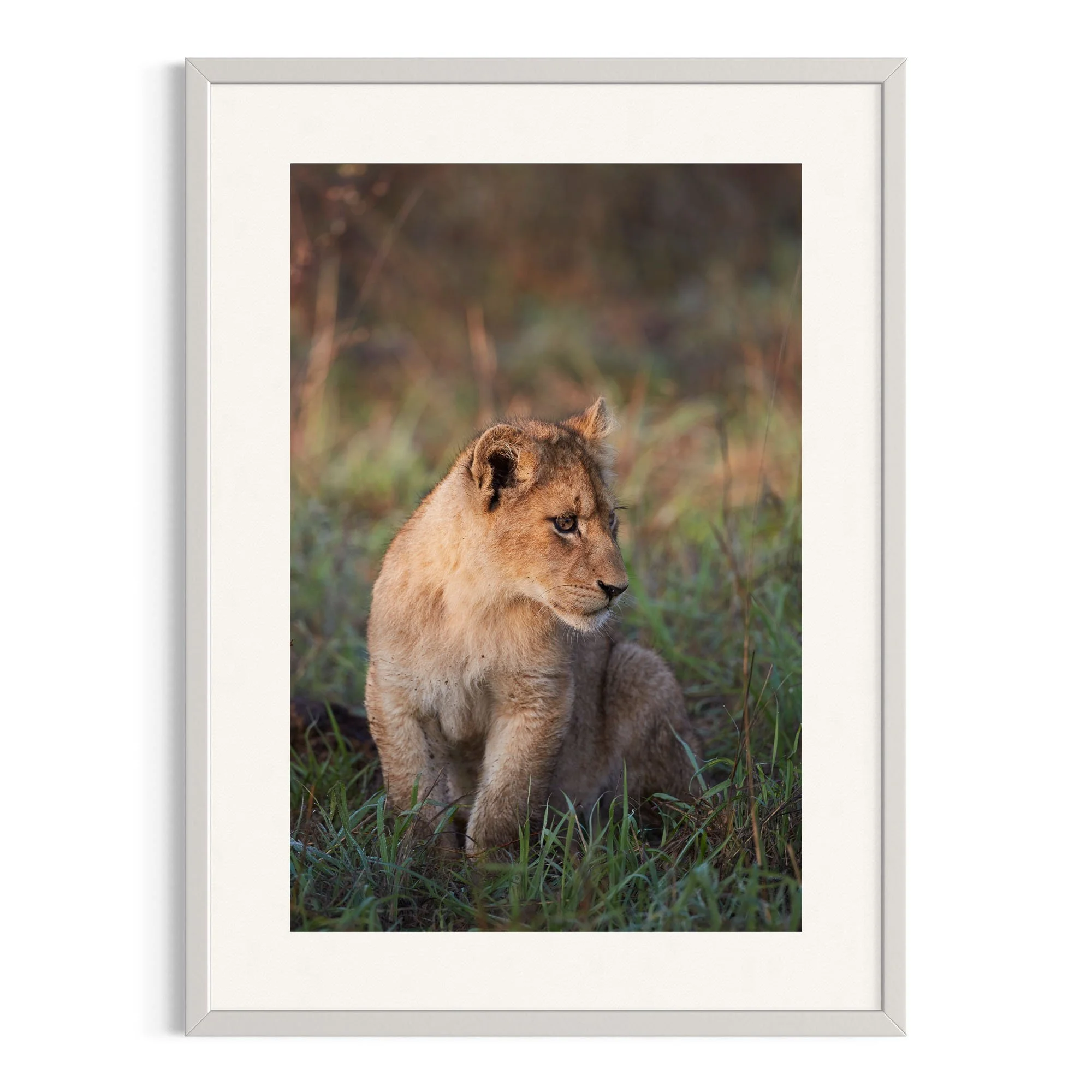 Little Guardian by John Wiseman shown in a white frame, a signed limited-edition fine art photography print from IRID Gallery