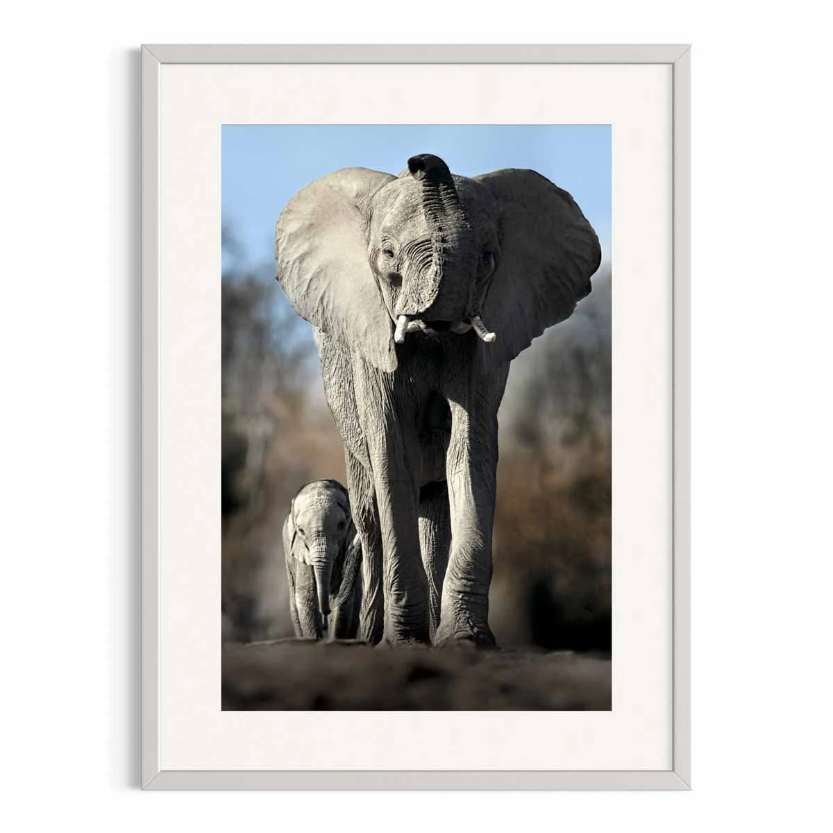 Mother and Son by John Wiseman shown in a white frame, a signed limited-edition fine art photography print from IRID Gallery