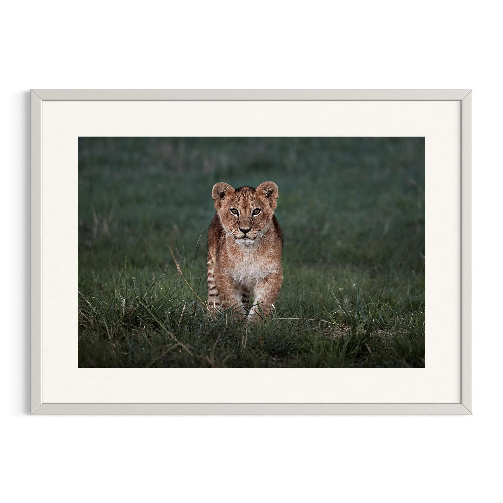 Determined Steps by John Wiseman shown in a white frame, a signed limited-edition fine art photography print from IRID Gallery