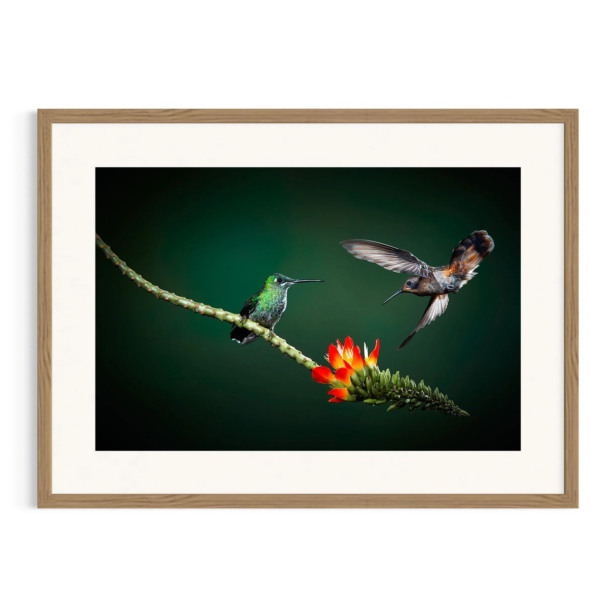 Tiny Dancers by John Wiseman shown in a raw oak frame, a signed limited-edition fine art photography print from IRID Gallery