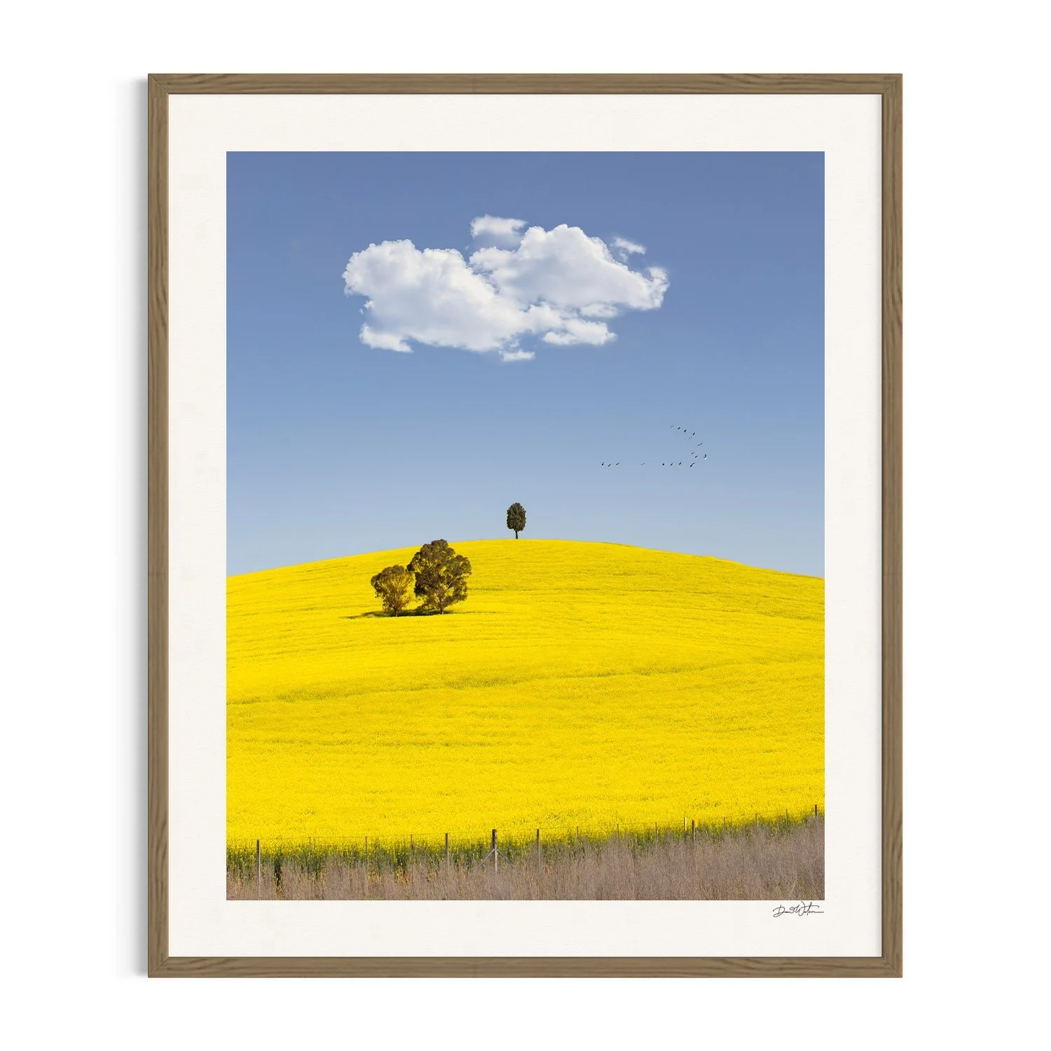 The Road To Gundagai by Dani Watson shown in a raw oak frame, a signed limited-edition fine art photography print from IRID Gallery