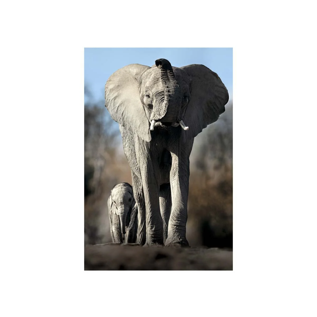 Mother and Son by John Wiseman, a signed limited-edition fine art photography print from IRID Gallery