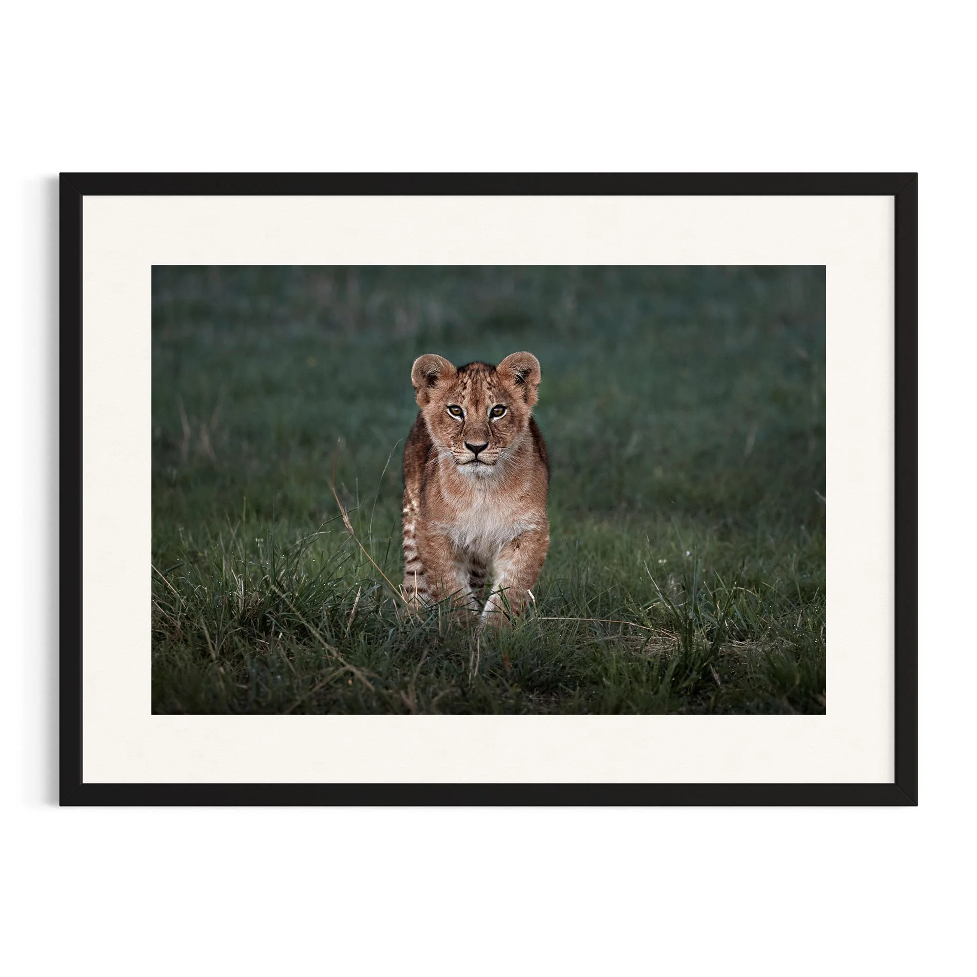 Determined Steps by John Wiseman shown in a black frame, a signed limited-edition fine art photography print from IRID Gallery