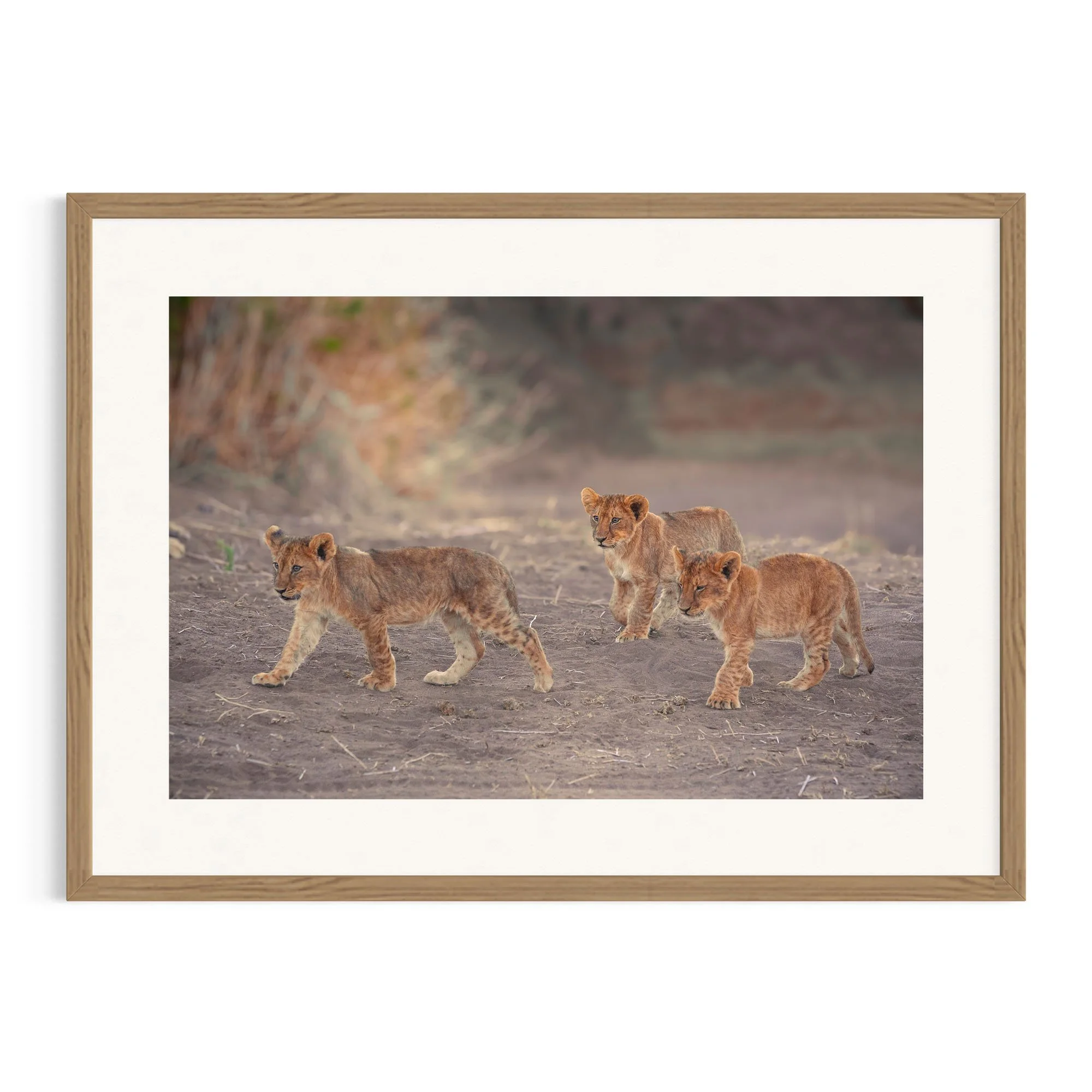 Young Explorers by John Wiseman shown in a raw oak frame, a signed limited-edition fine art photography print from IRID Gallery