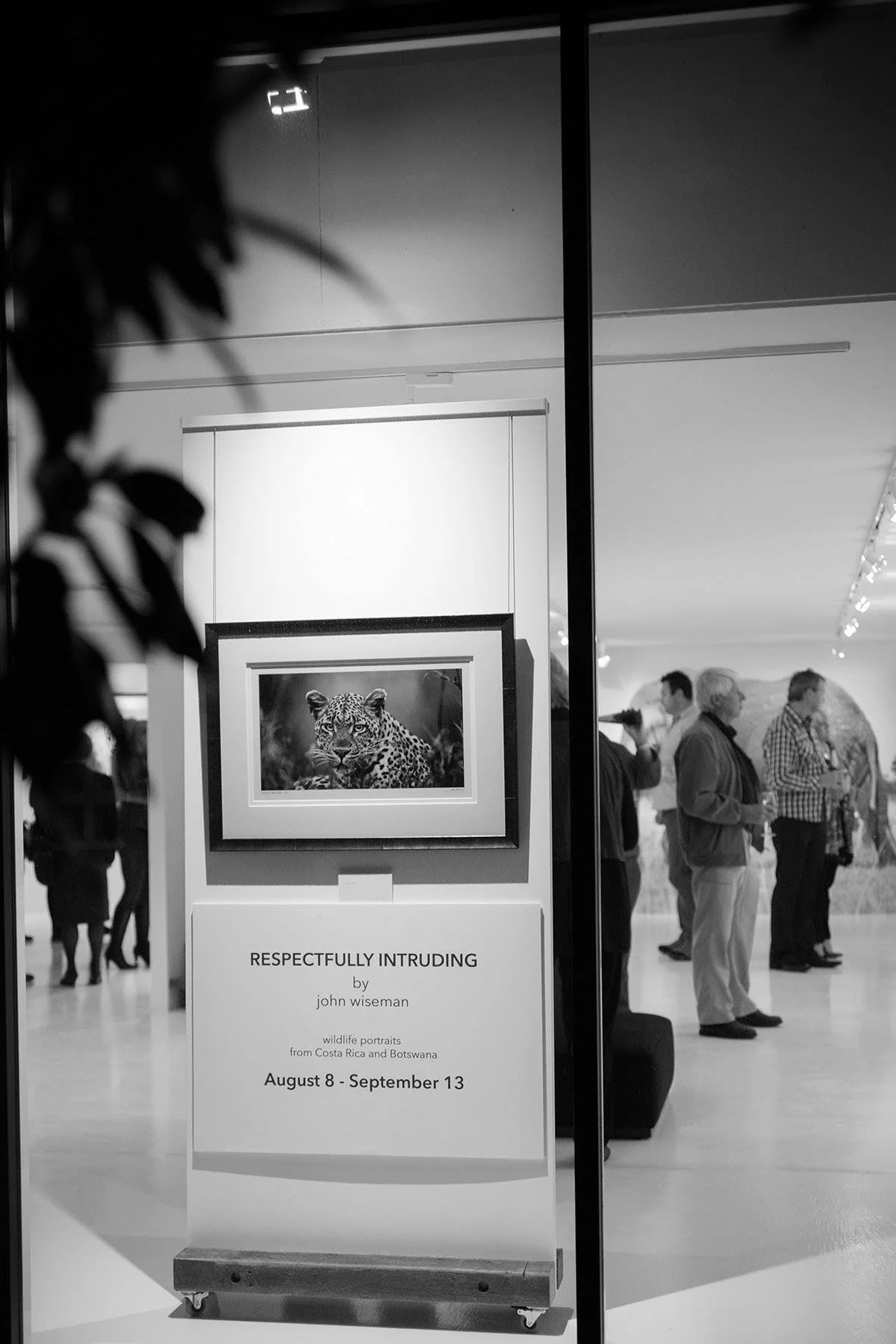 Respectfully Intruding exhibition by John Wiseman