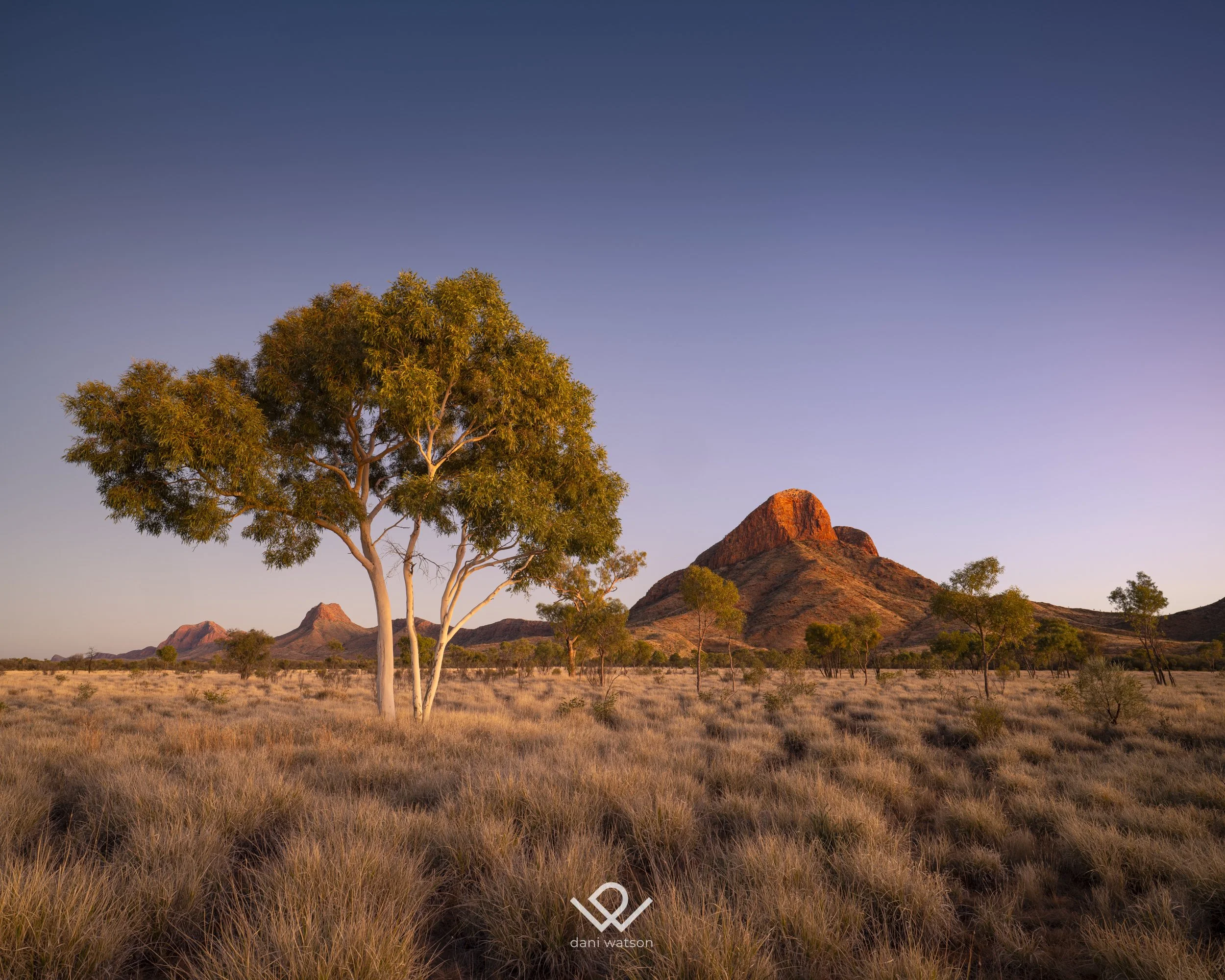 Australian landscape photographed by Dani Watson