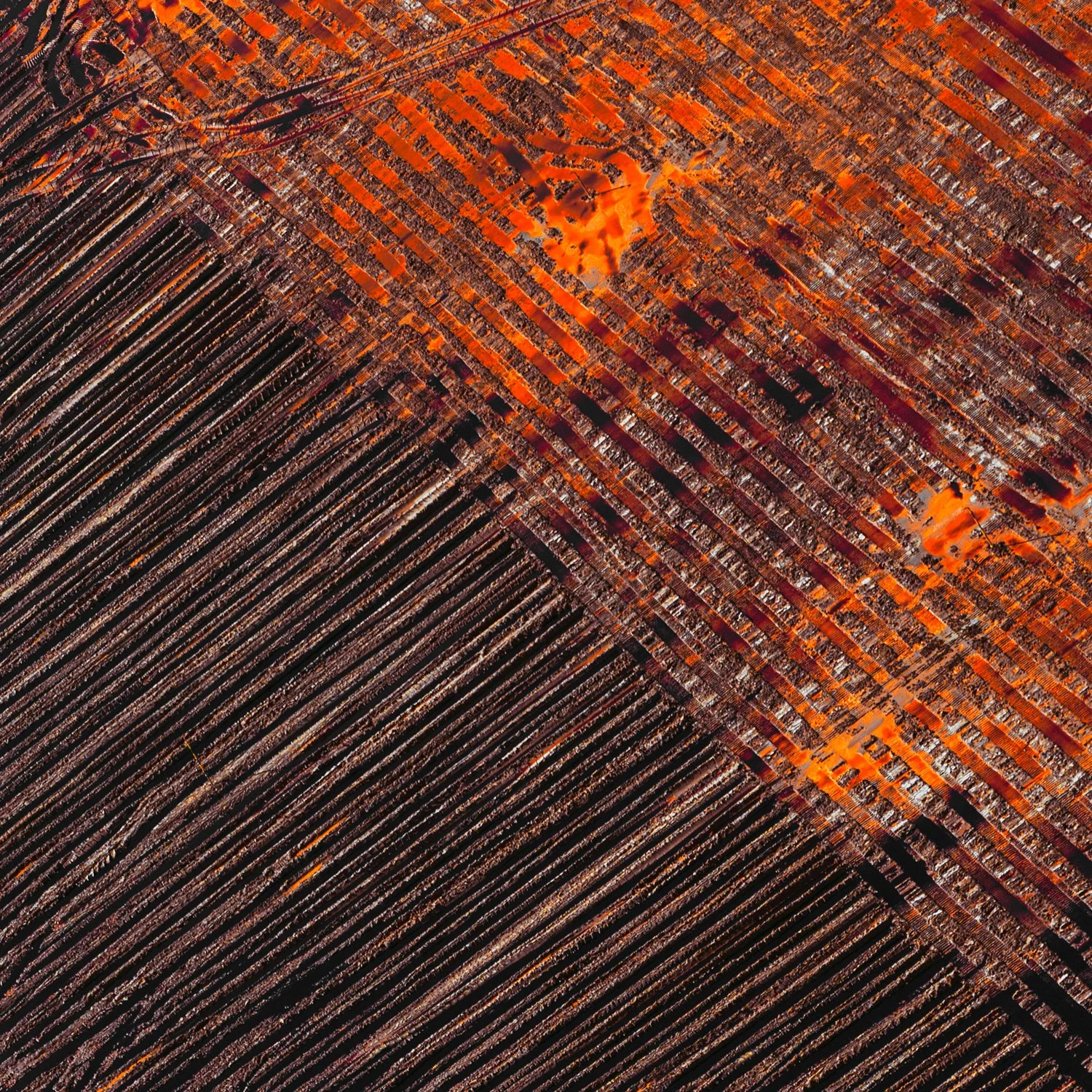 Exuviae Crosshatch