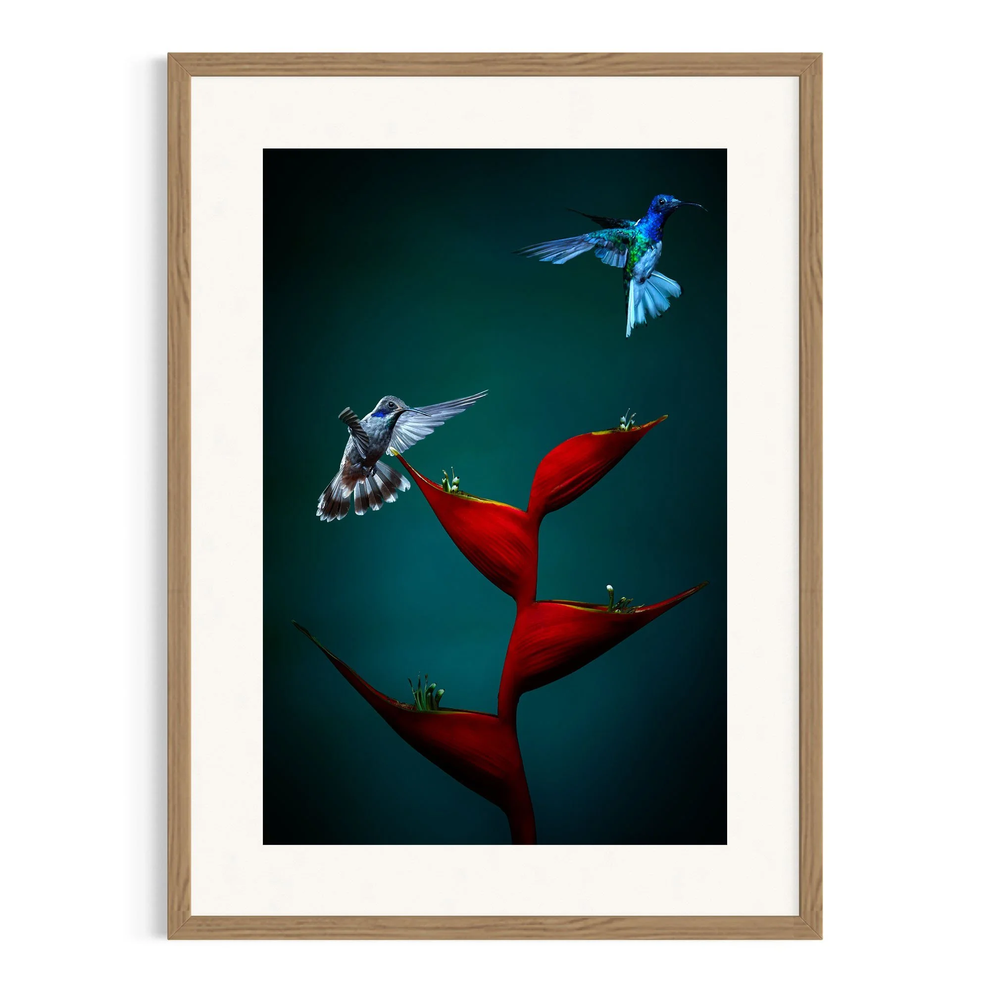 Beauty in Flight by John Wiseman shown in a raw oak frame, a signed limited-edition fine art photography print from IRID Gallery