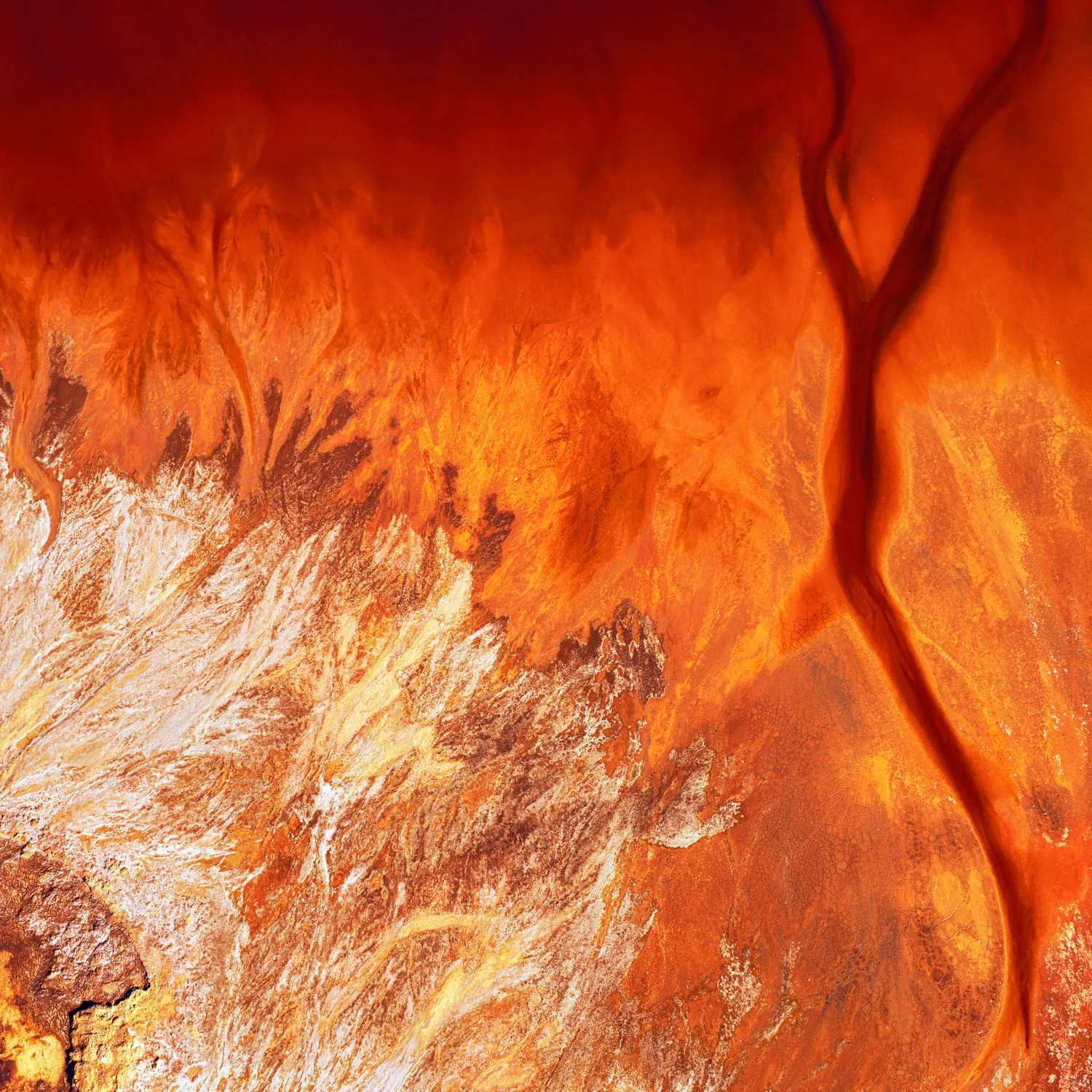 Exuviae Flames