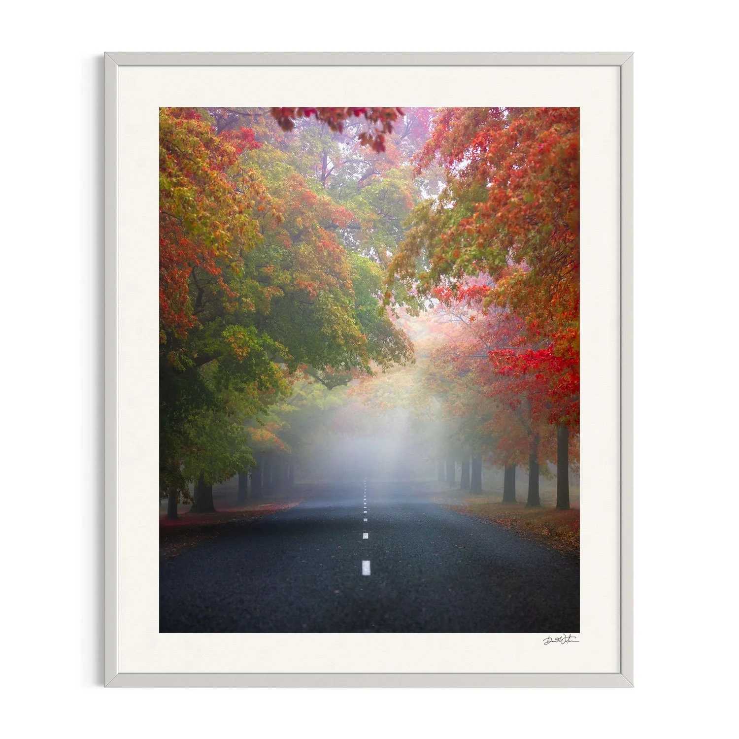 Autumn Symphony by Dani Watson shown in a white frame, a signed limited-edition fine art photography print from IRID Gallery