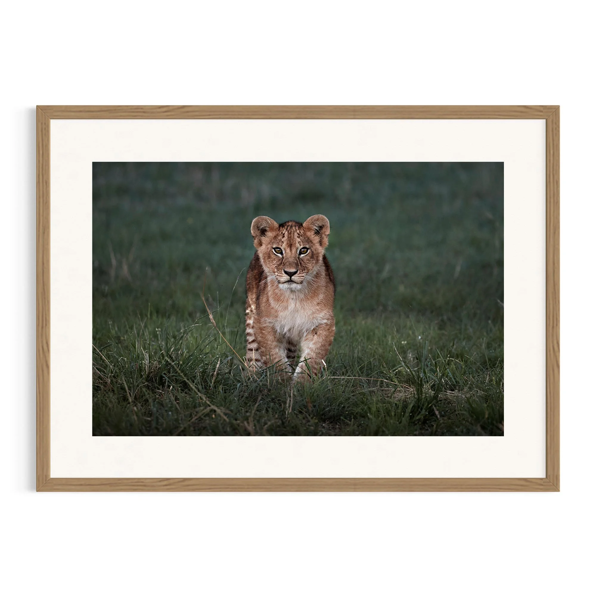 Determined Steps by John Wiseman shown in a raw oak frame, a signed limited-edition fine art photography print from IRID Gallery