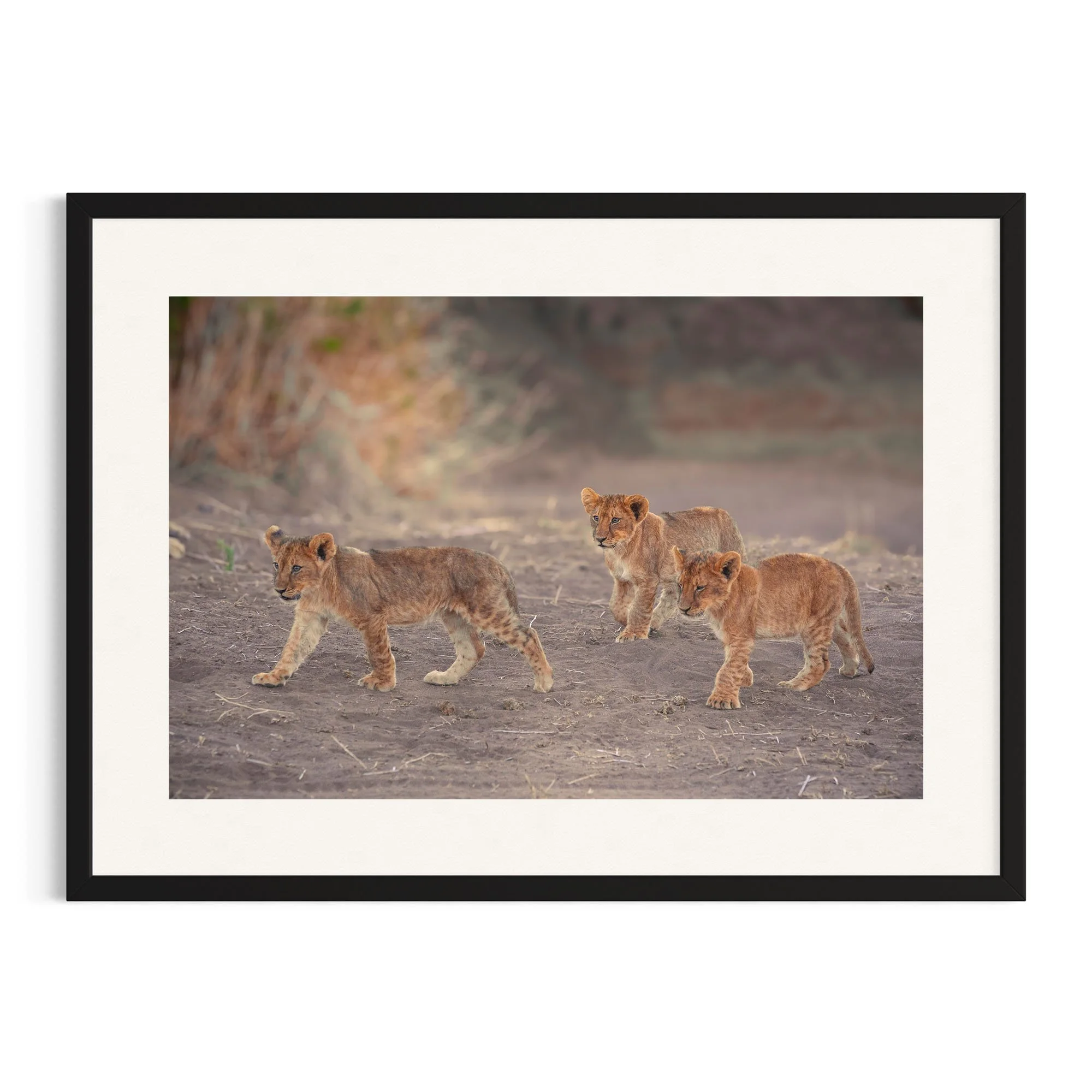 Young Explorers by John Wiseman shown in a black frame, a signed limited-edition fine art photography print from IRID Gallery