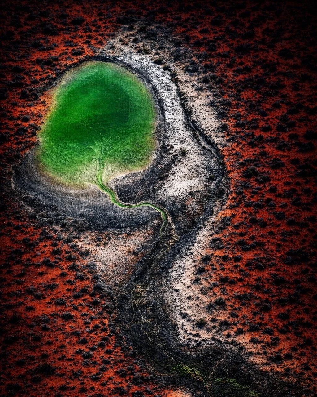 Aerial view of a green salt lake surrounded by a white salt crust and reddish desert terrain.