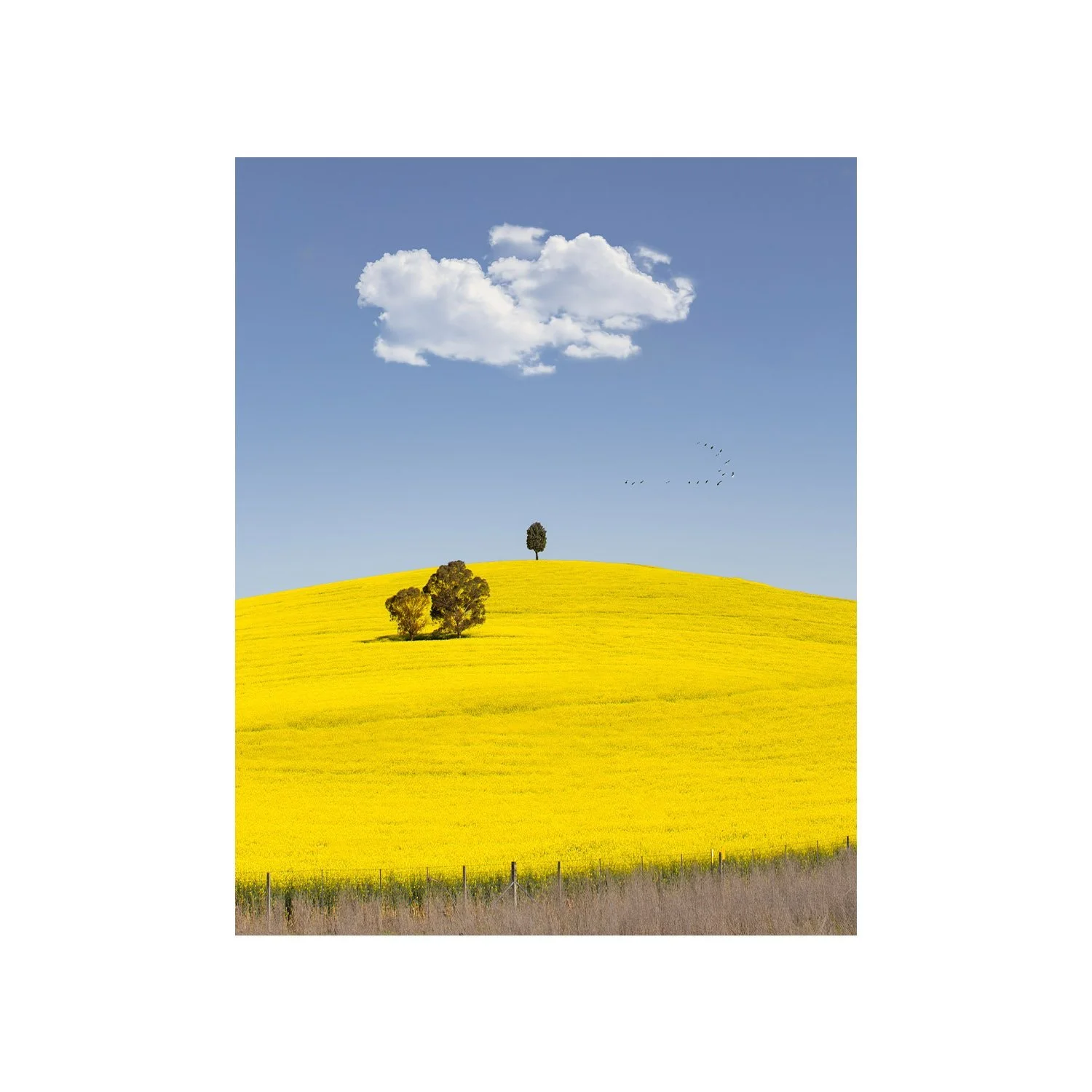 The Road To Gundagai by Dani Watson, a signed limited-edition fine art photography print from IRID Gallery