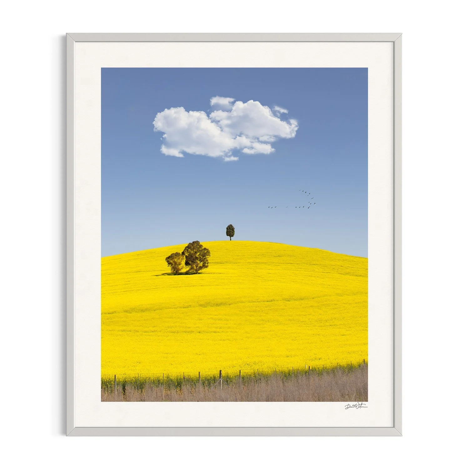 The Road To Gundagai by Dani Watson shown in a white frame, a signed limited-edition fine art photography print from IRID Gallery