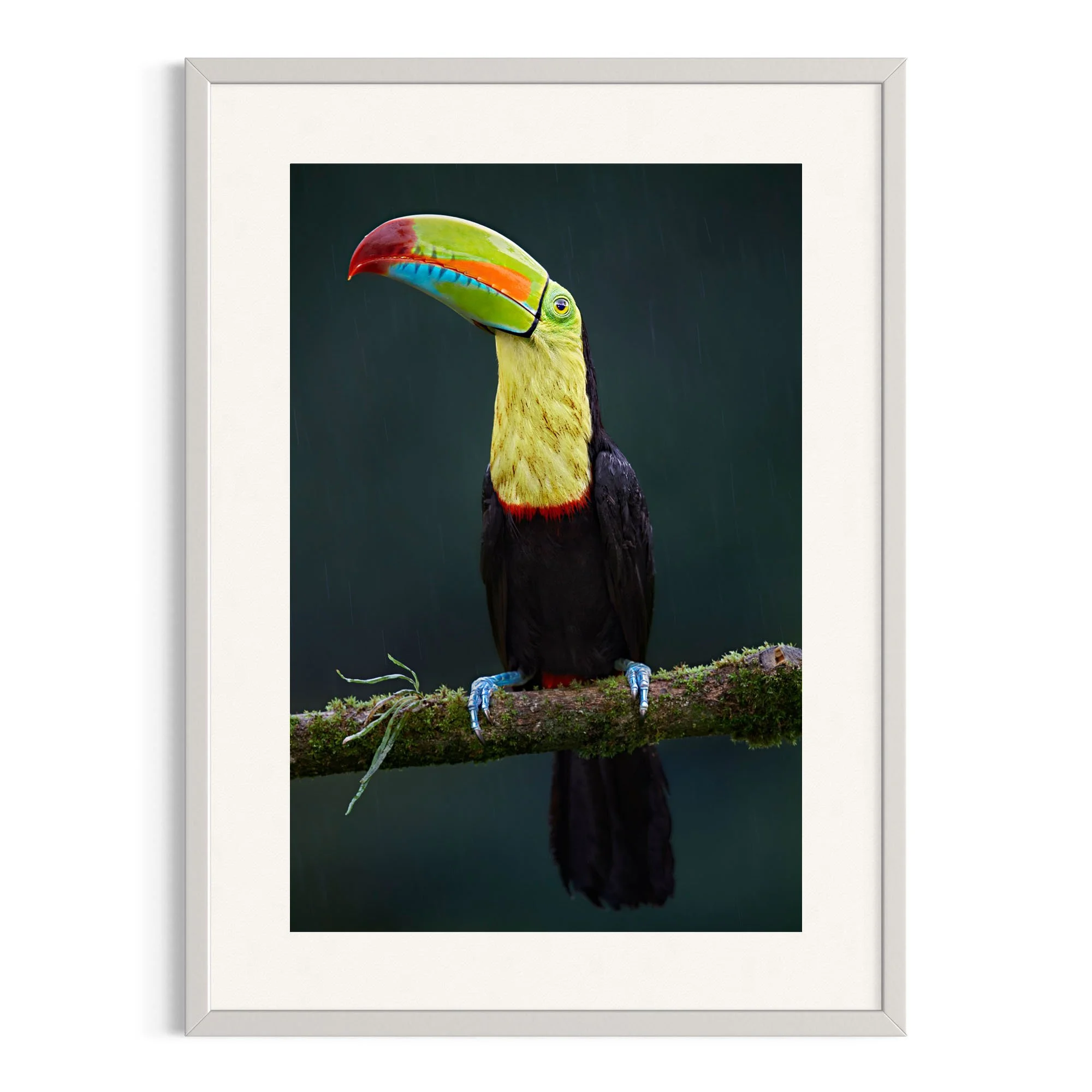 Silent Watch by John Wiseman shown in a white frame, a signed limited-edition fine art photography print from IRID Gallery
