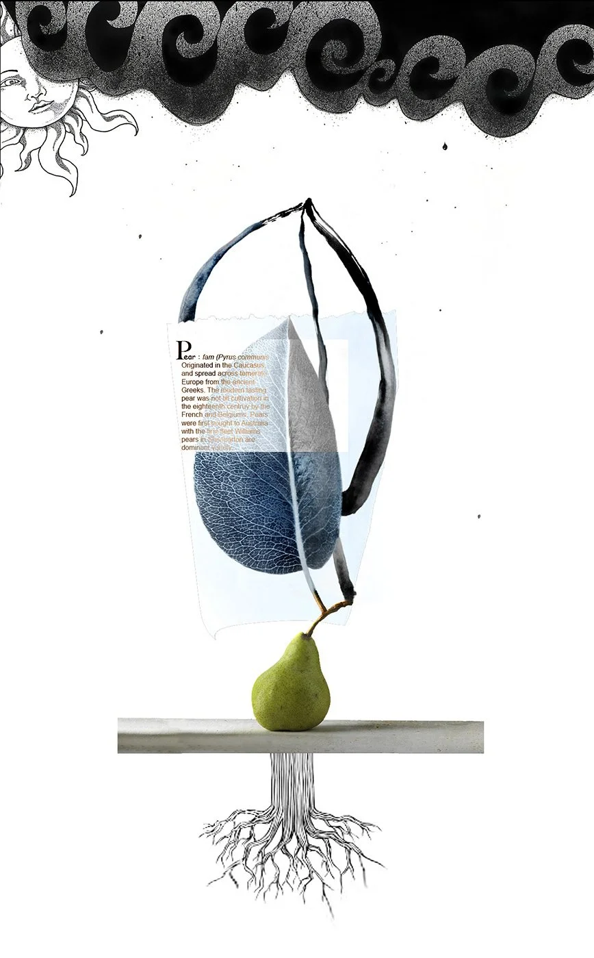 Guy_Little©_History _of_a_PearPear.jpeg