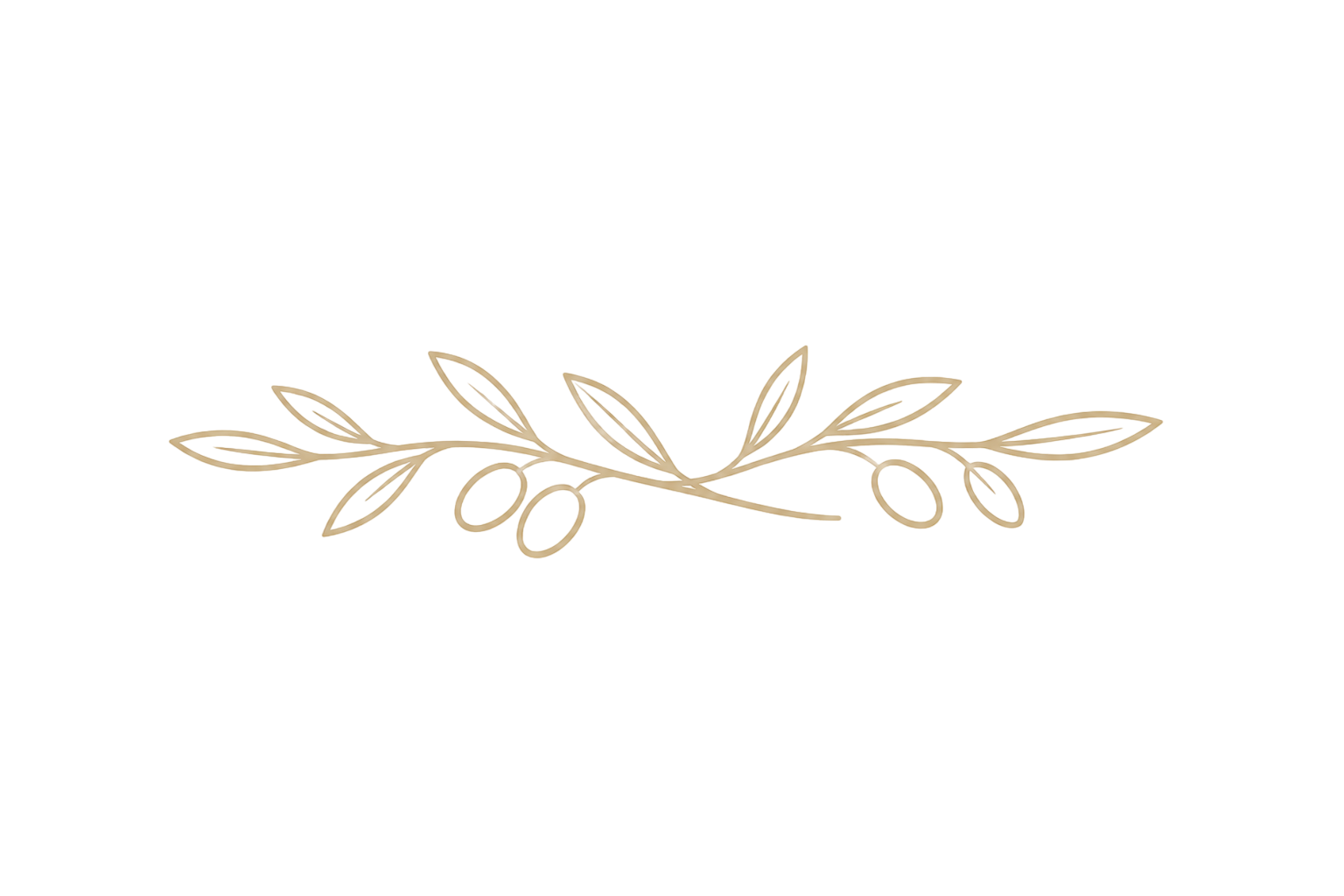 Elegant decorative olive branch with leaves and olives in beige on black background