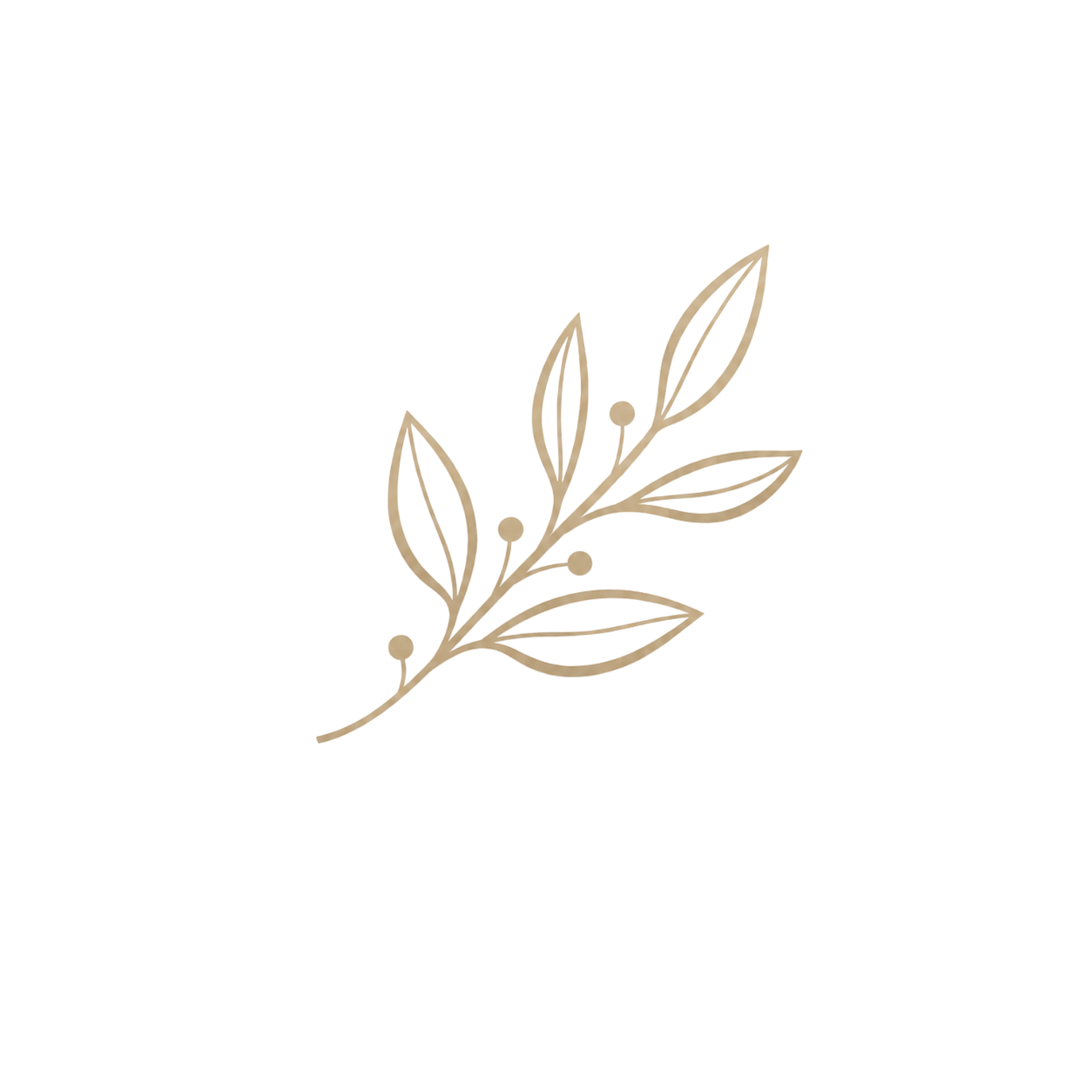 Minimalist beige botanical illustration with leaves and berries on a black background