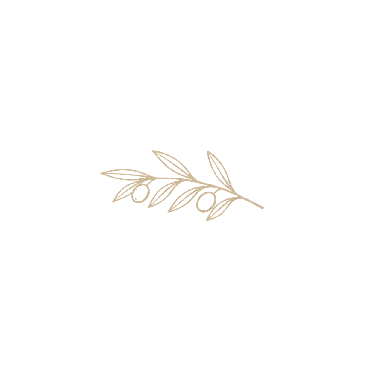 Black background with beige decorative olive branch design.